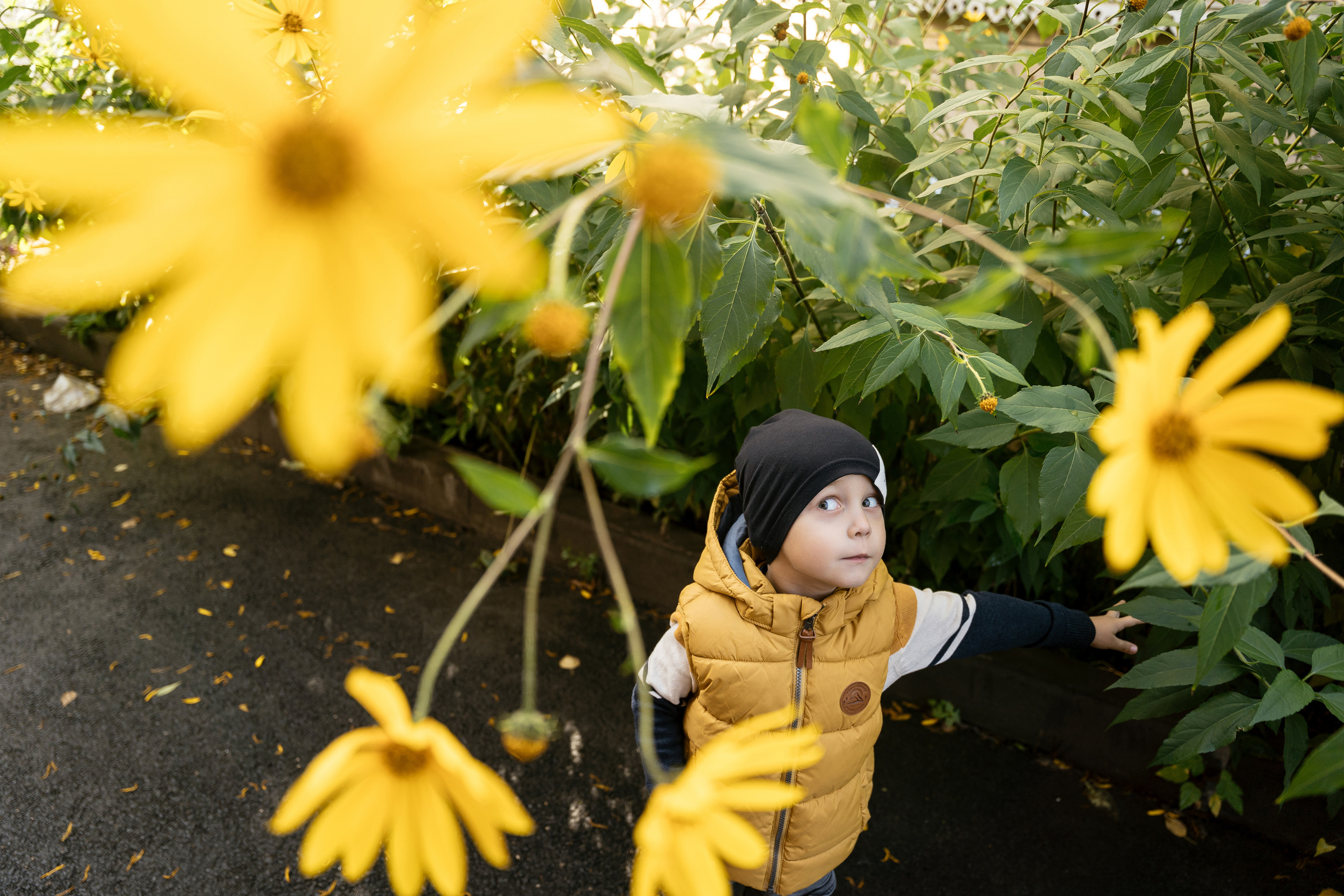 14.09.2021 Family. Фотограф Томск, Новосибирск Влад Свириденко