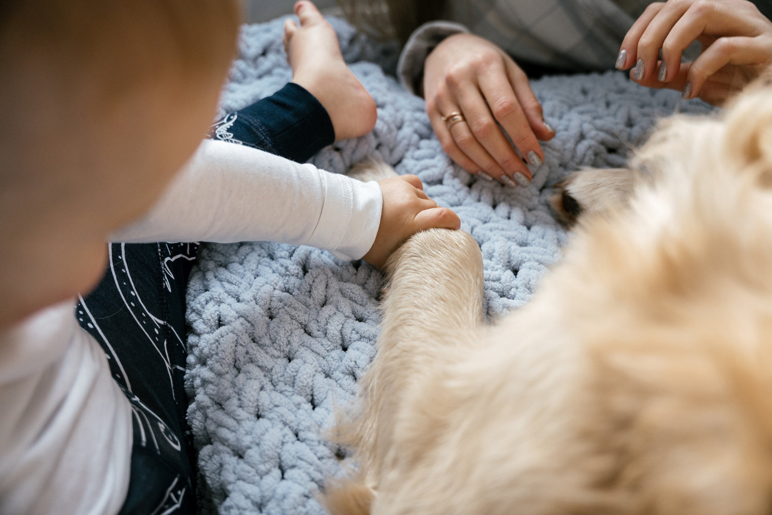 01.12.2021 Family. Фотограф Томск, Новосибирск Влад Свириденко