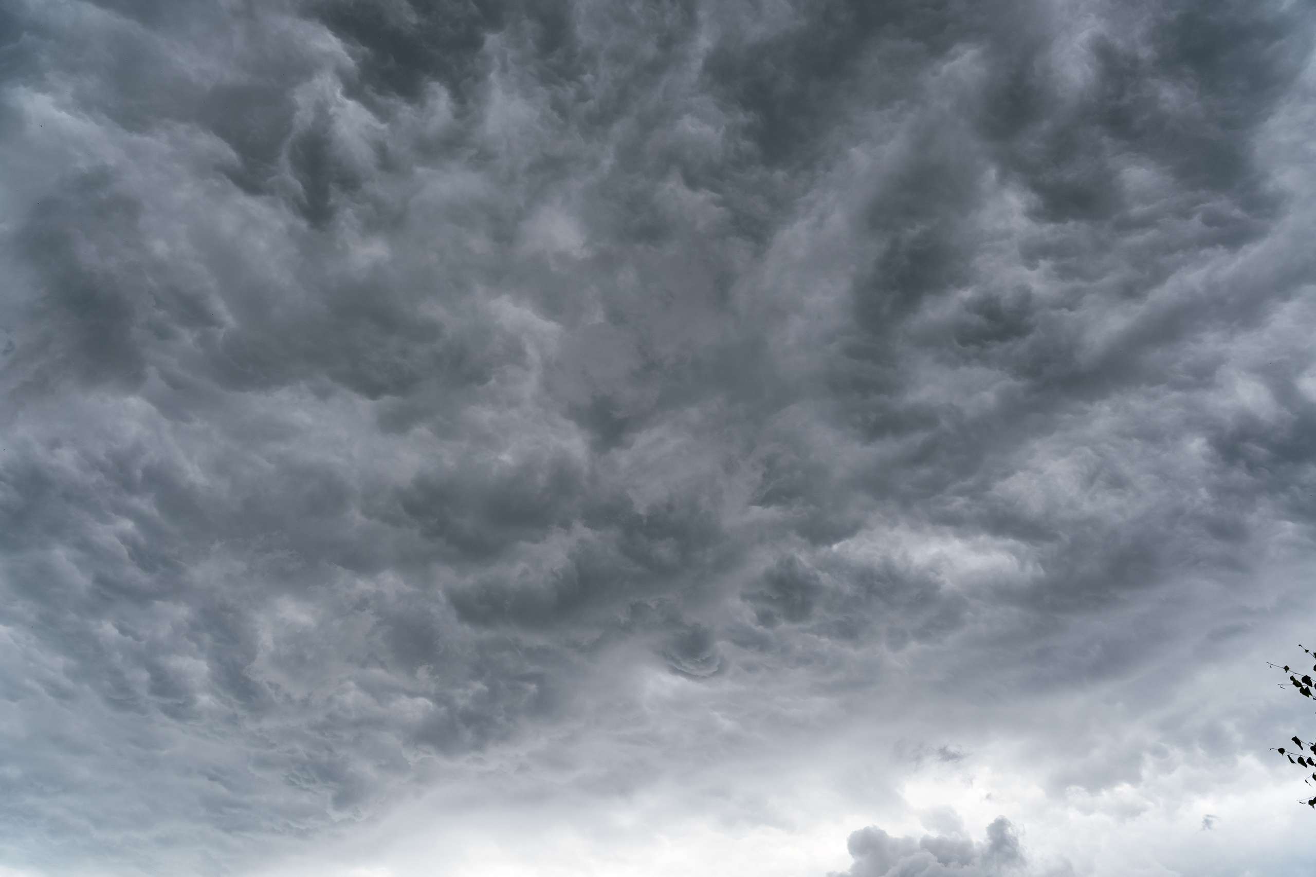 17.07.2021 Wedding day for guests. Фотограф Томск, Новосибирск Влад Свириденко
