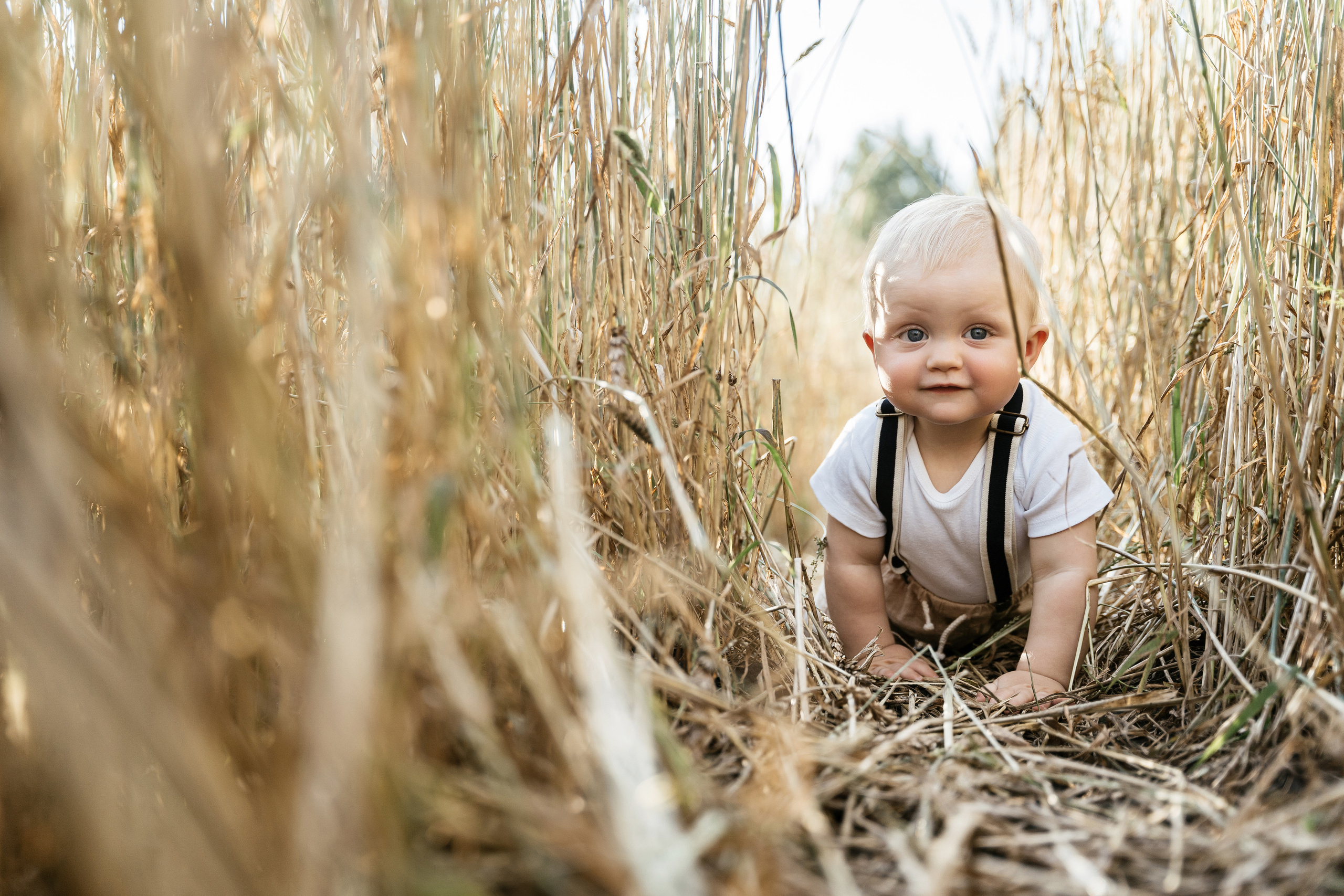 17.08.2021 Family. Фотограф Томск, Новосибирск Влад Свириденко
