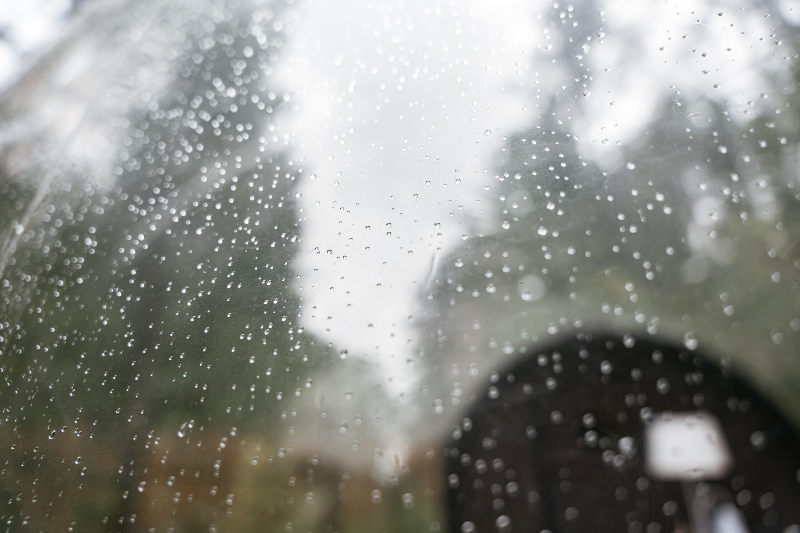 12.08.2021 Wedding day. Фотограф Томск, Новосибирск Влад Свириденко