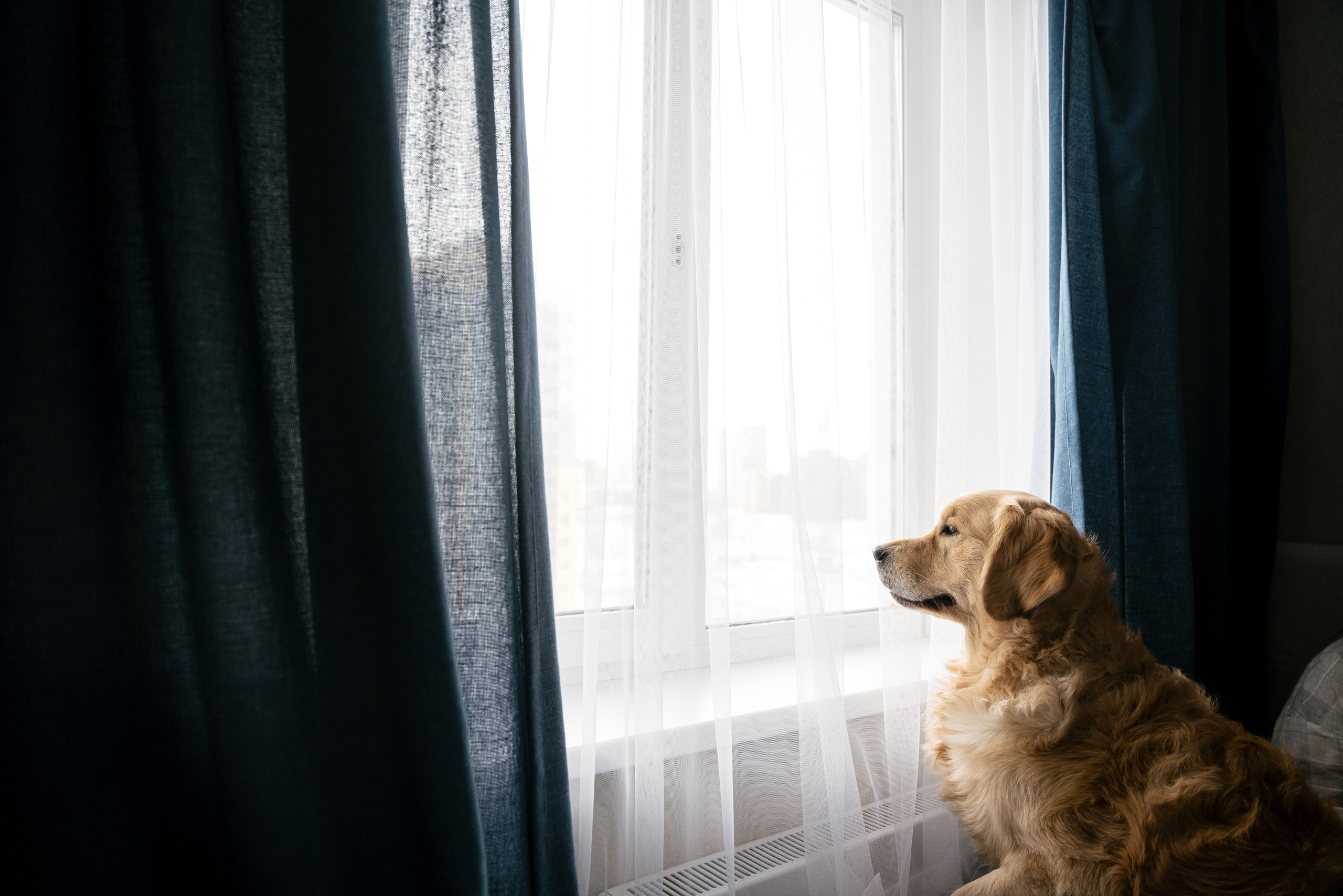 01.12.2021 Family. Фотограф Томск, Новосибирск Влад Свириденко