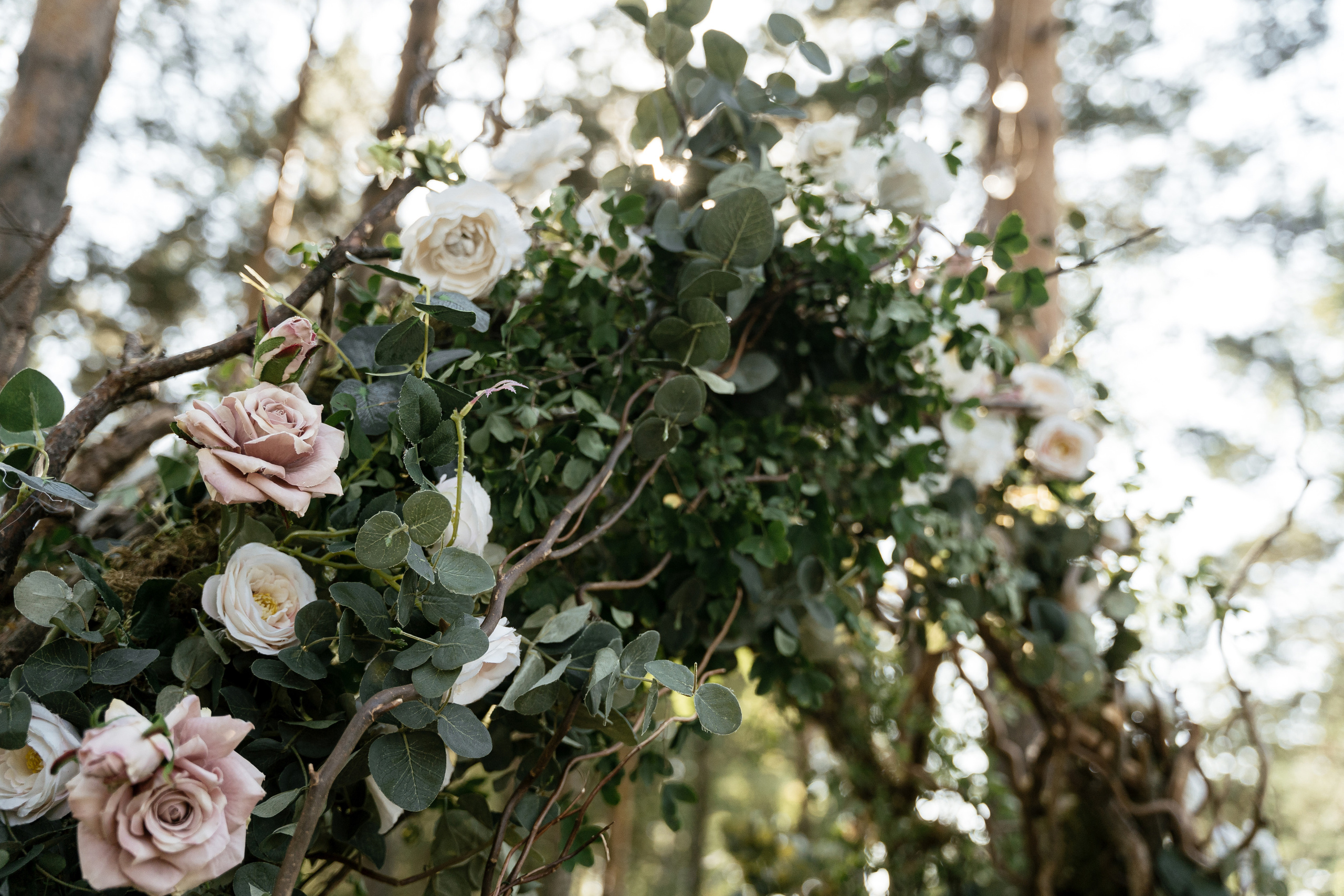 25.08.2021 Wedding day. Фотограф Томск, Новосибирск Влад Свириденко