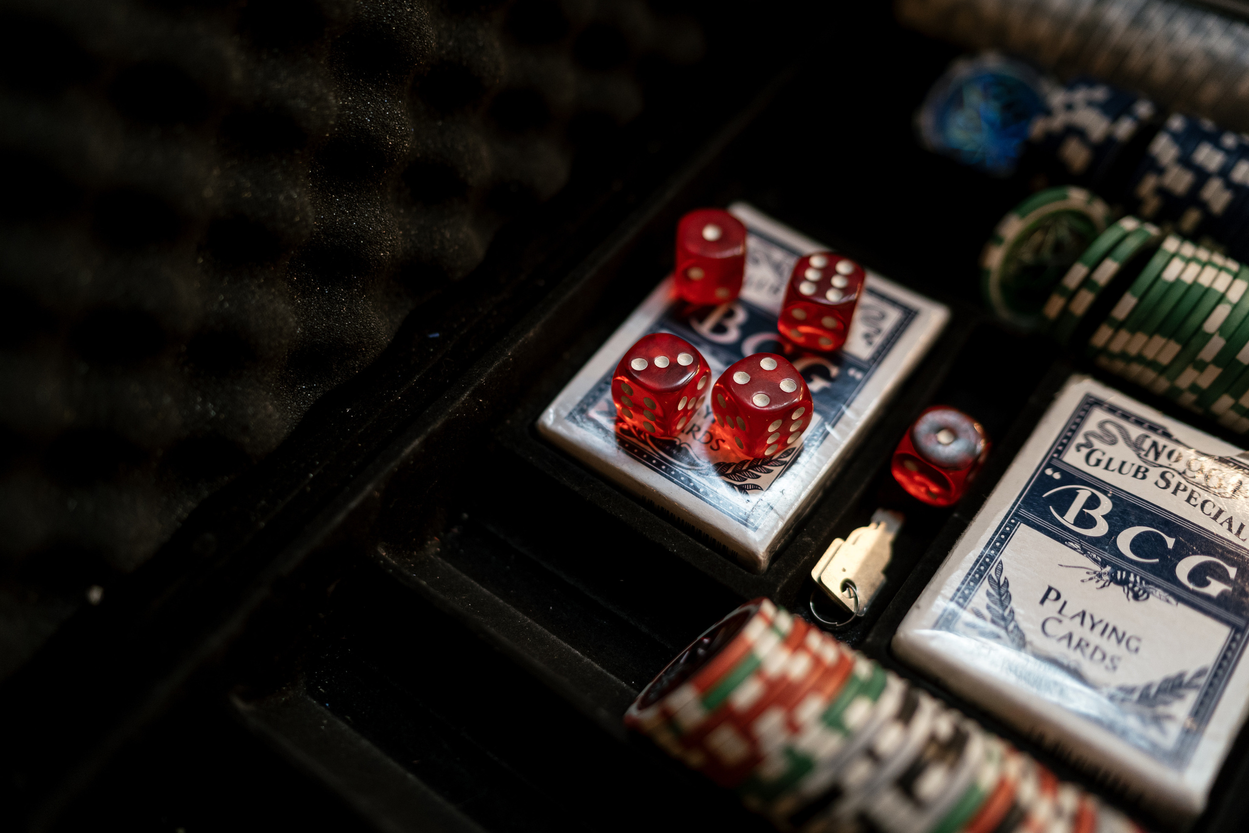 Снегири. Фотограф Томск, Новосибирск Влад Свириденко