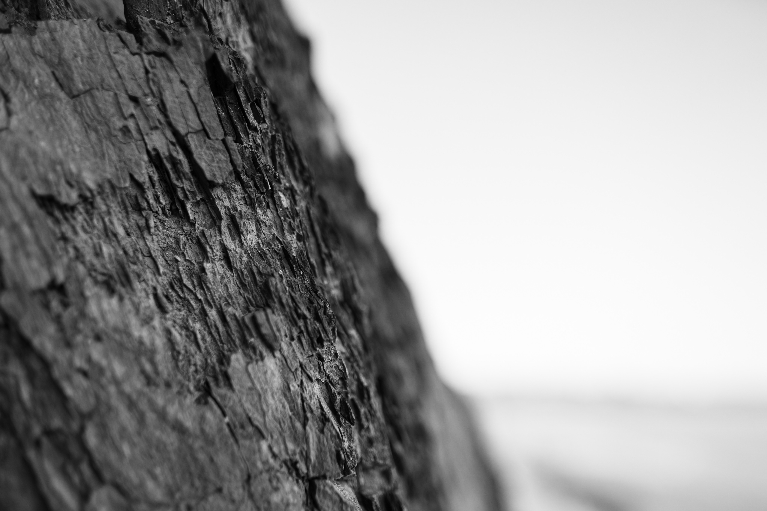 25.08.2021 Wedding day. Фотограф Томск, Новосибирск Влад Свириденко