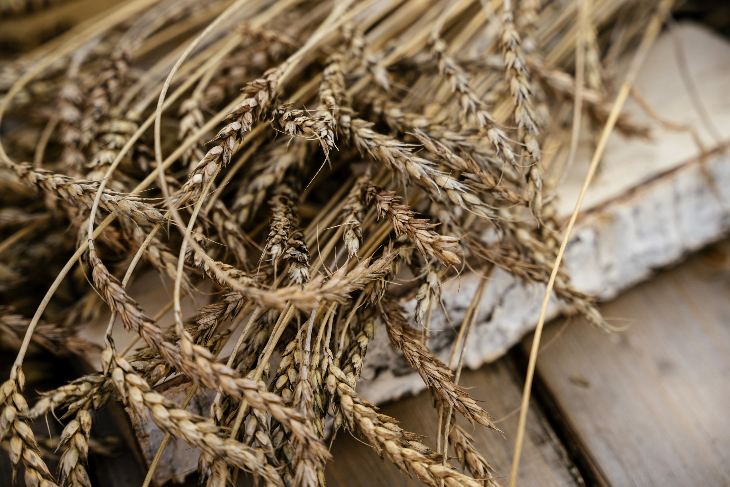 Дом. Фотограф Томск, Новосибирск Влад Свириденко