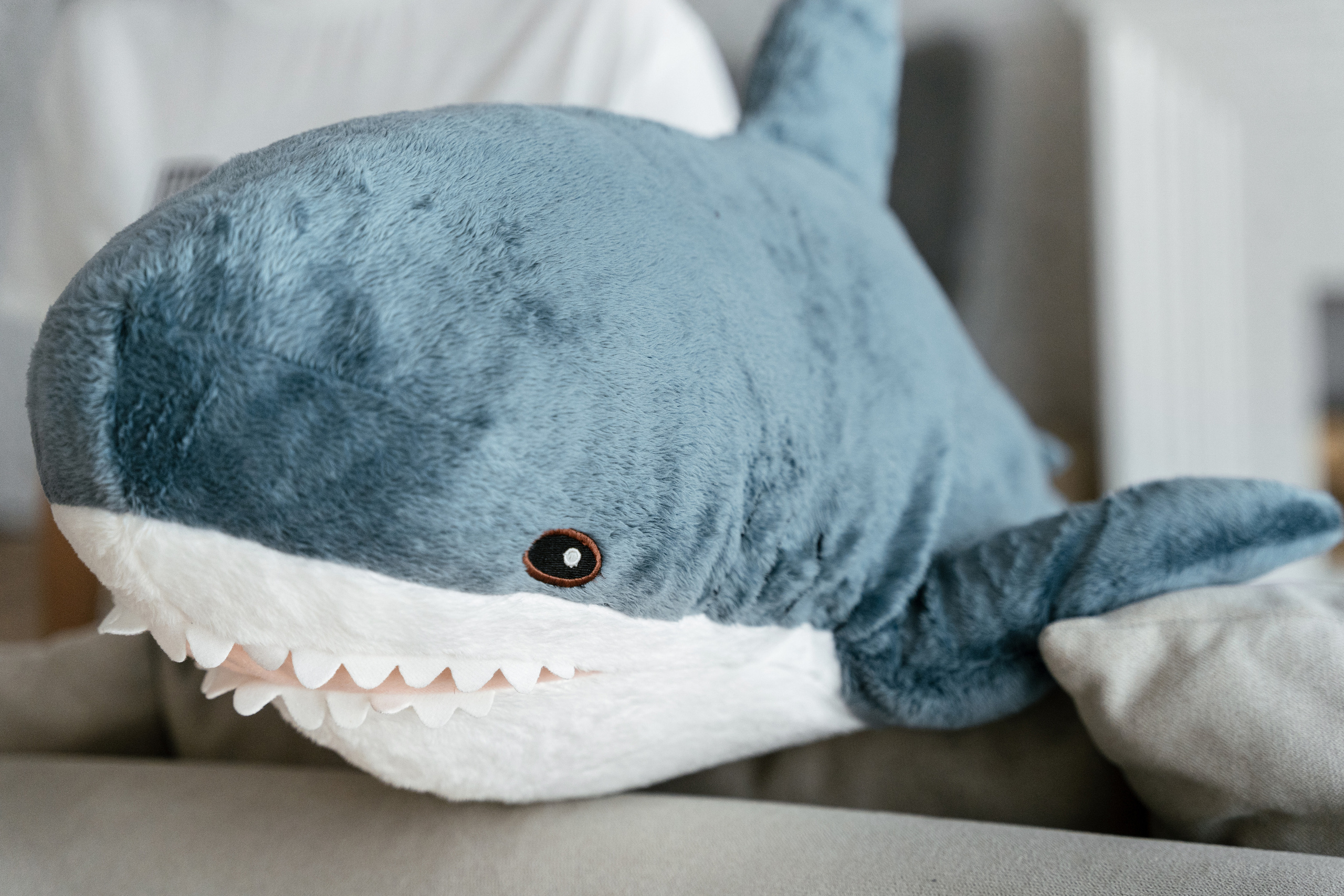 Контент. Фотограф Томск, Новосибирск Влад Свириденко