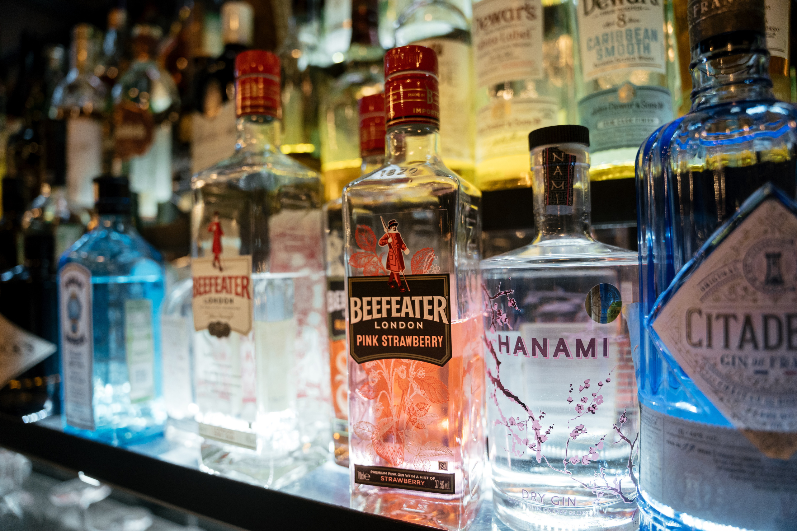 Снегири. Фотограф Томск, Новосибирск Влад Свириденко