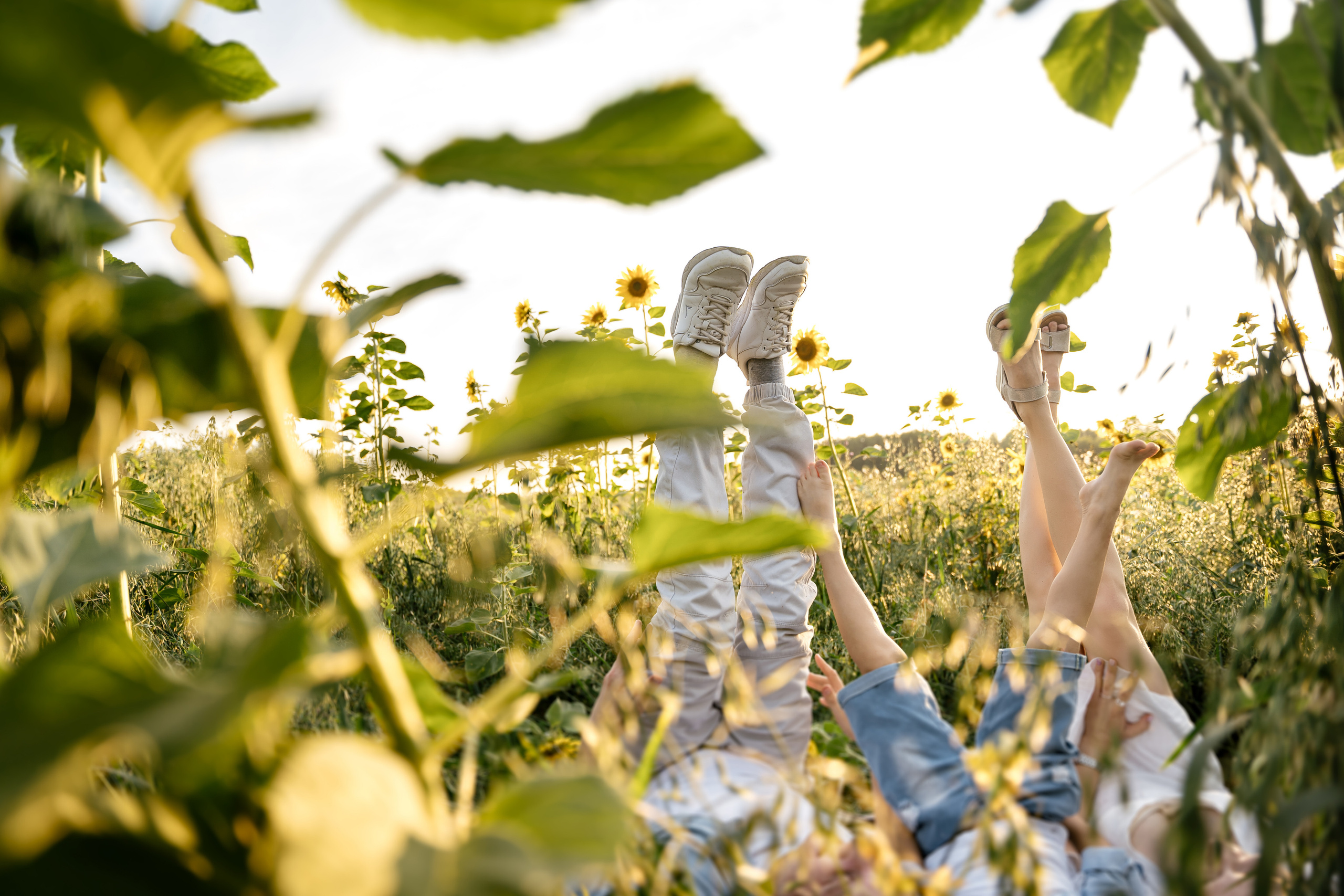 Кита Никита и какие-то родители. Фотограф Томск, Новосибирск Влад Свириденко