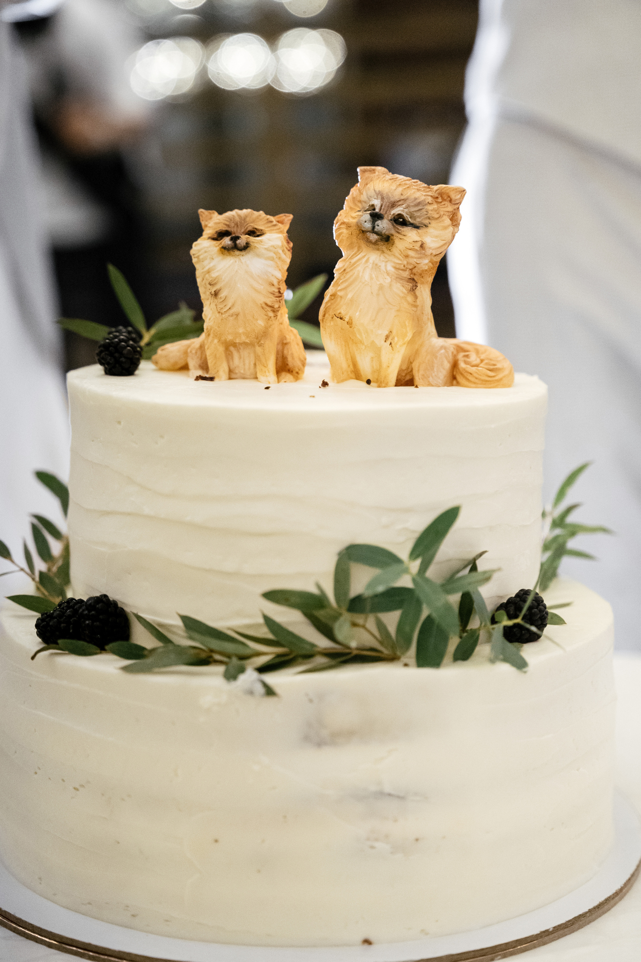 30.07.2021. Фотограф Томск, Новосибирск Влад Свириденко