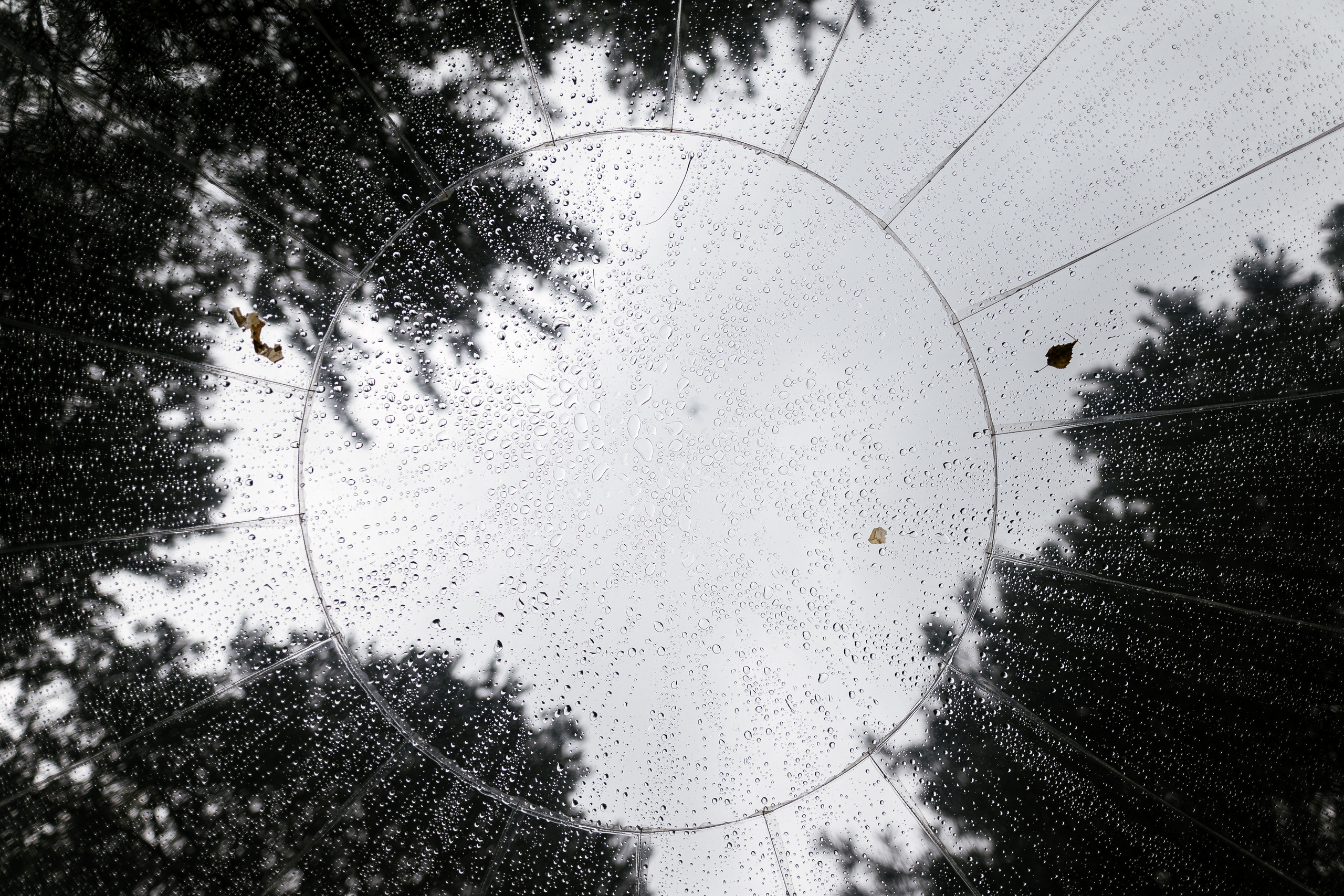 12.08.2021 Wedding day. Фотограф Томск, Новосибирск Влад Свириденко