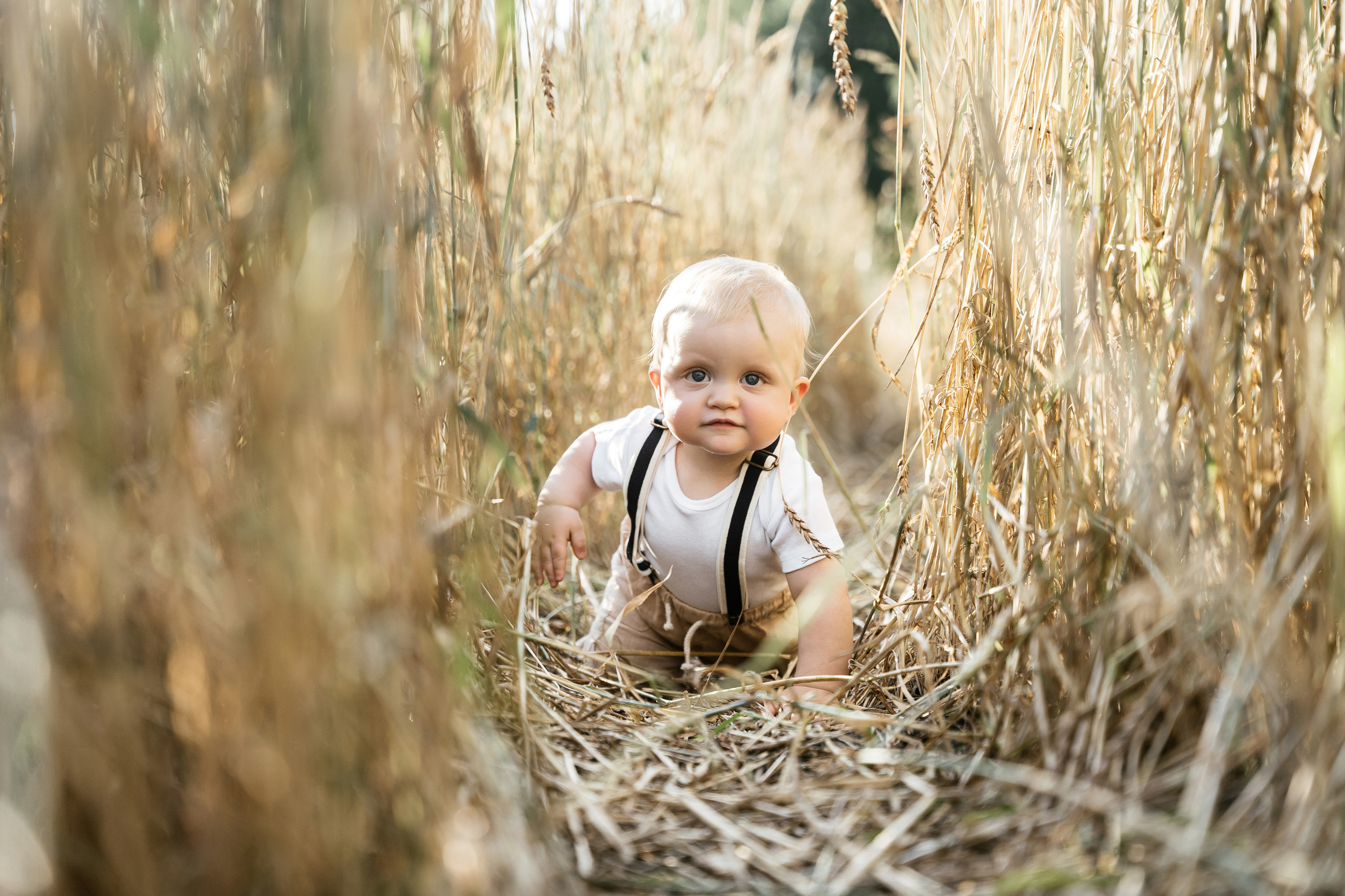 17.08.2021 Family. Фотограф Томск, Новосибирск Влад Свириденко