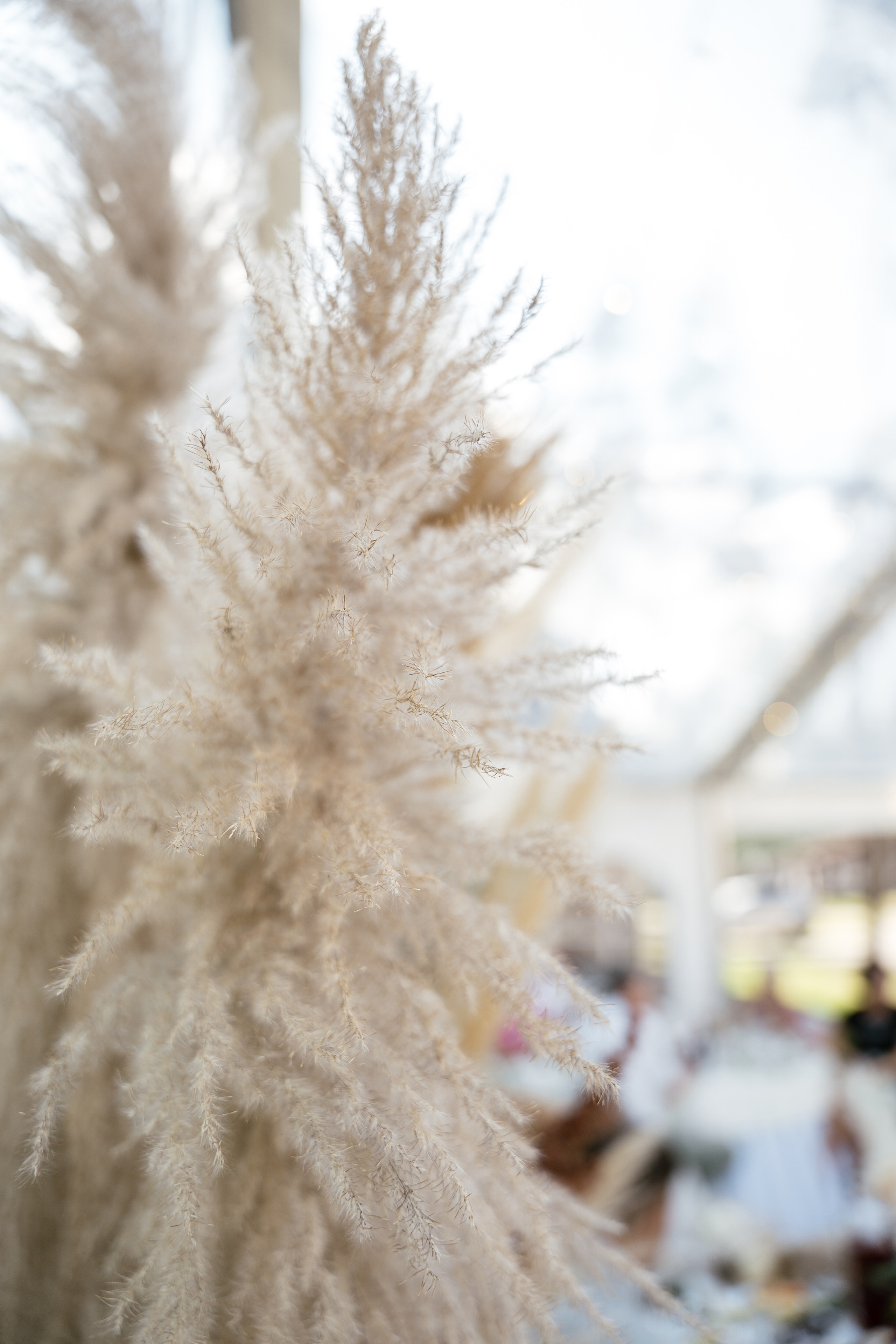 30.07.2021. Фотограф Томск, Новосибирск Влад Свириденко