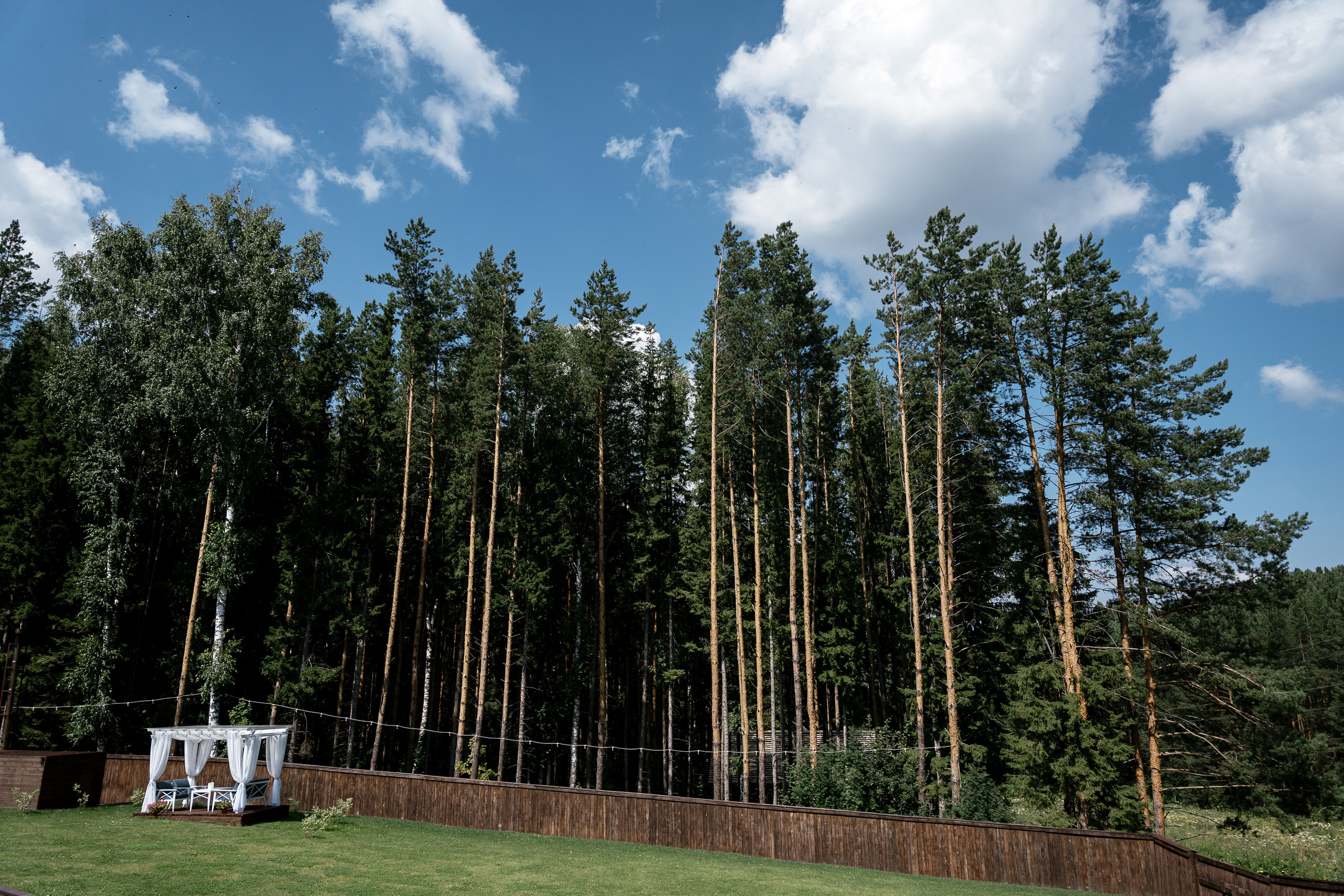 22.07.2021 Wedding day. Фотограф Томск, Новосибирск Влад Свириденко