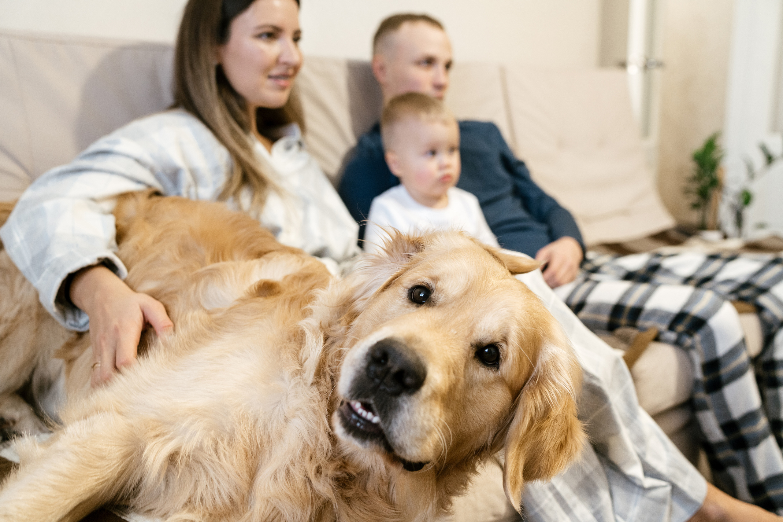 01.12.2021 Family. Фотограф Томск, Новосибирск Влад Свириденко