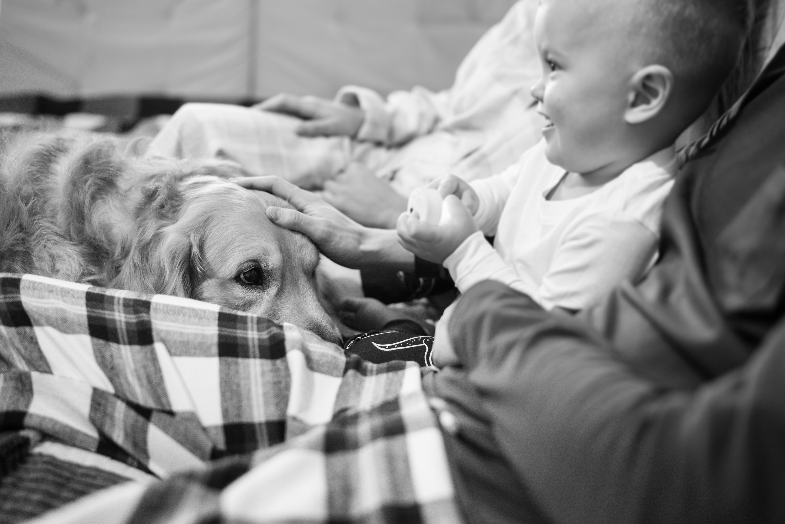 01.12.2021 Family. Фотограф Томск, Новосибирск Влад Свириденко