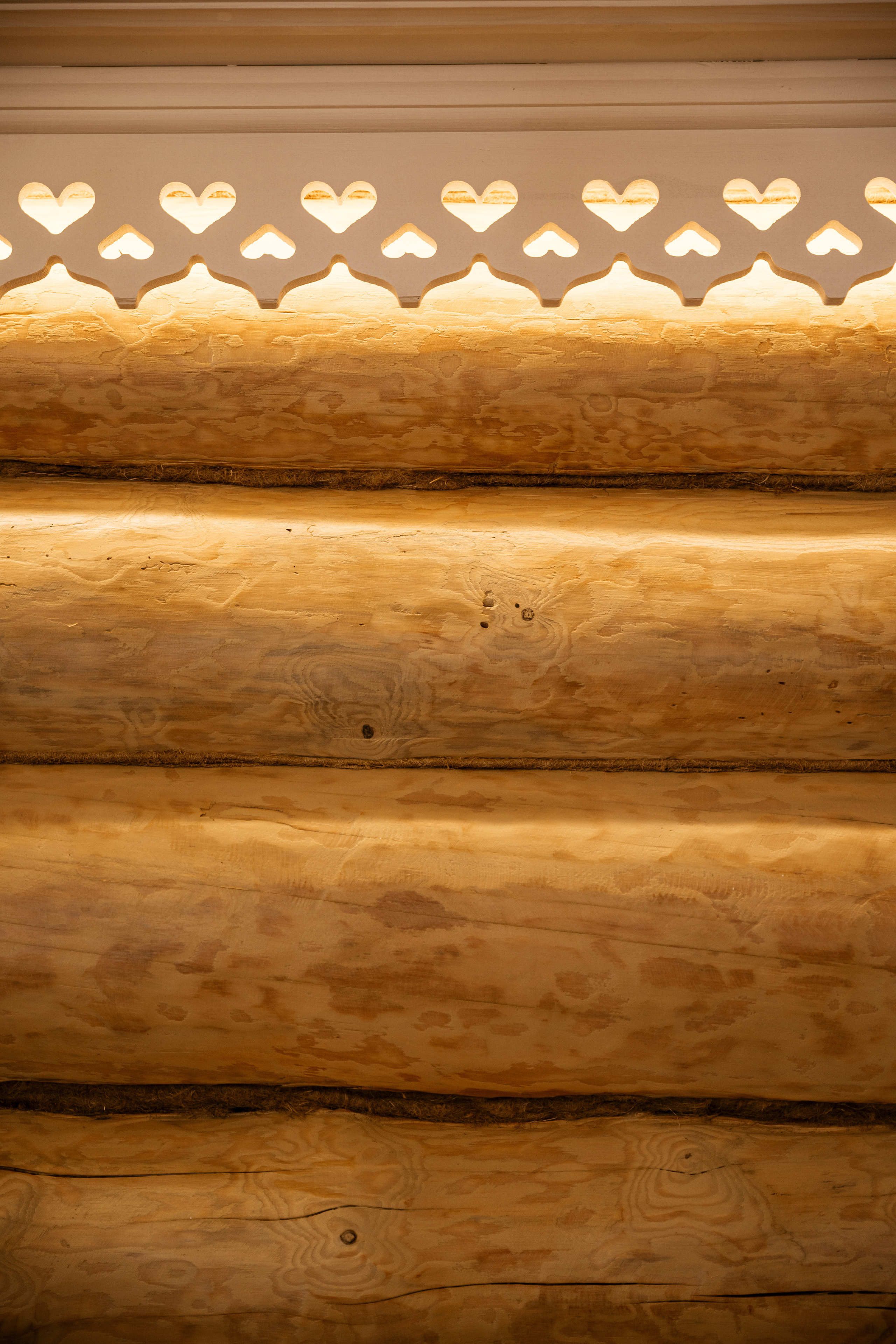 Дом. Фотограф Томск, Новосибирск Влад Свириденко