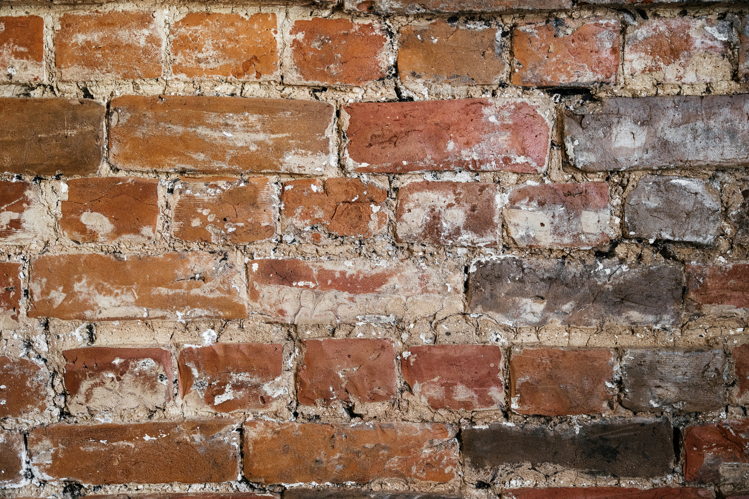 Дом. Фотограф Томск, Новосибирск Влад Свириденко