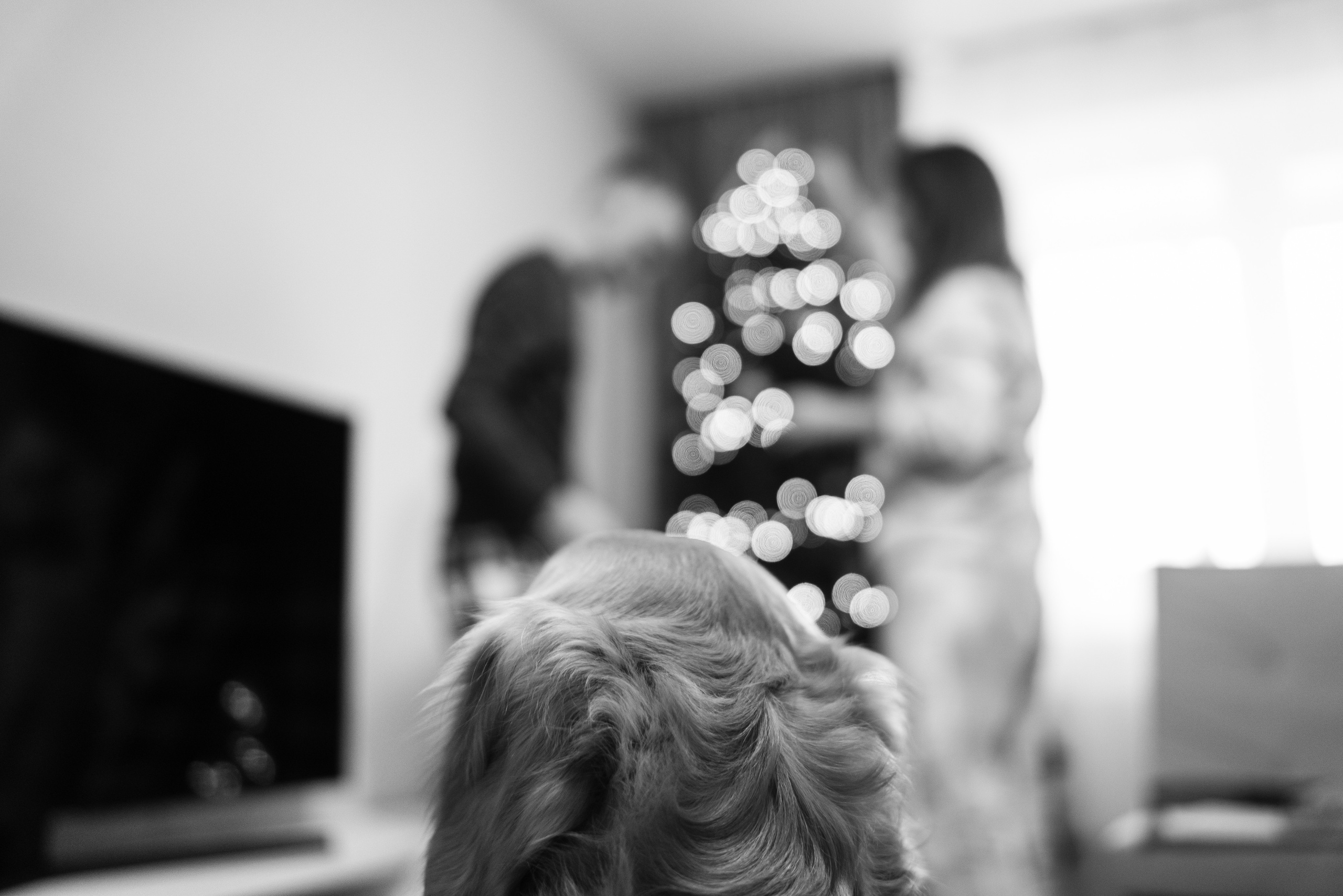 01.12.2021 Family. Фотограф Томск, Новосибирск Влад Свириденко