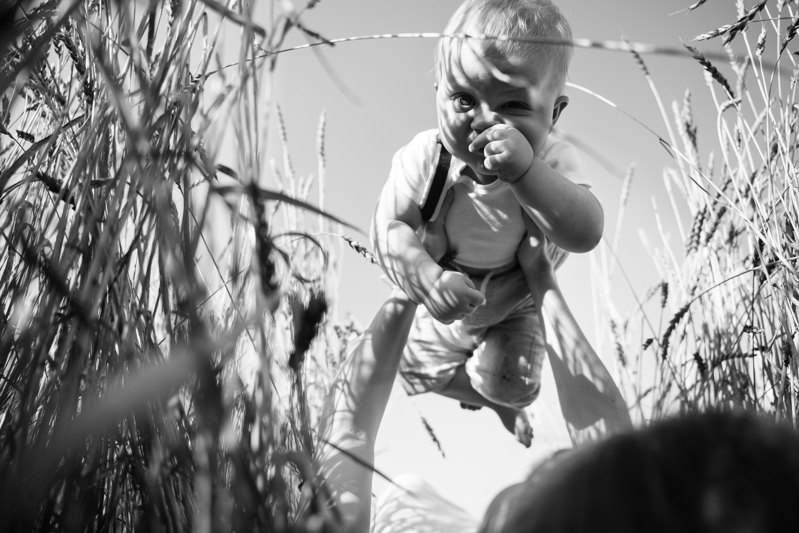 17.08.2021 Family. Фотограф Томск, Новосибирск Влад Свириденко