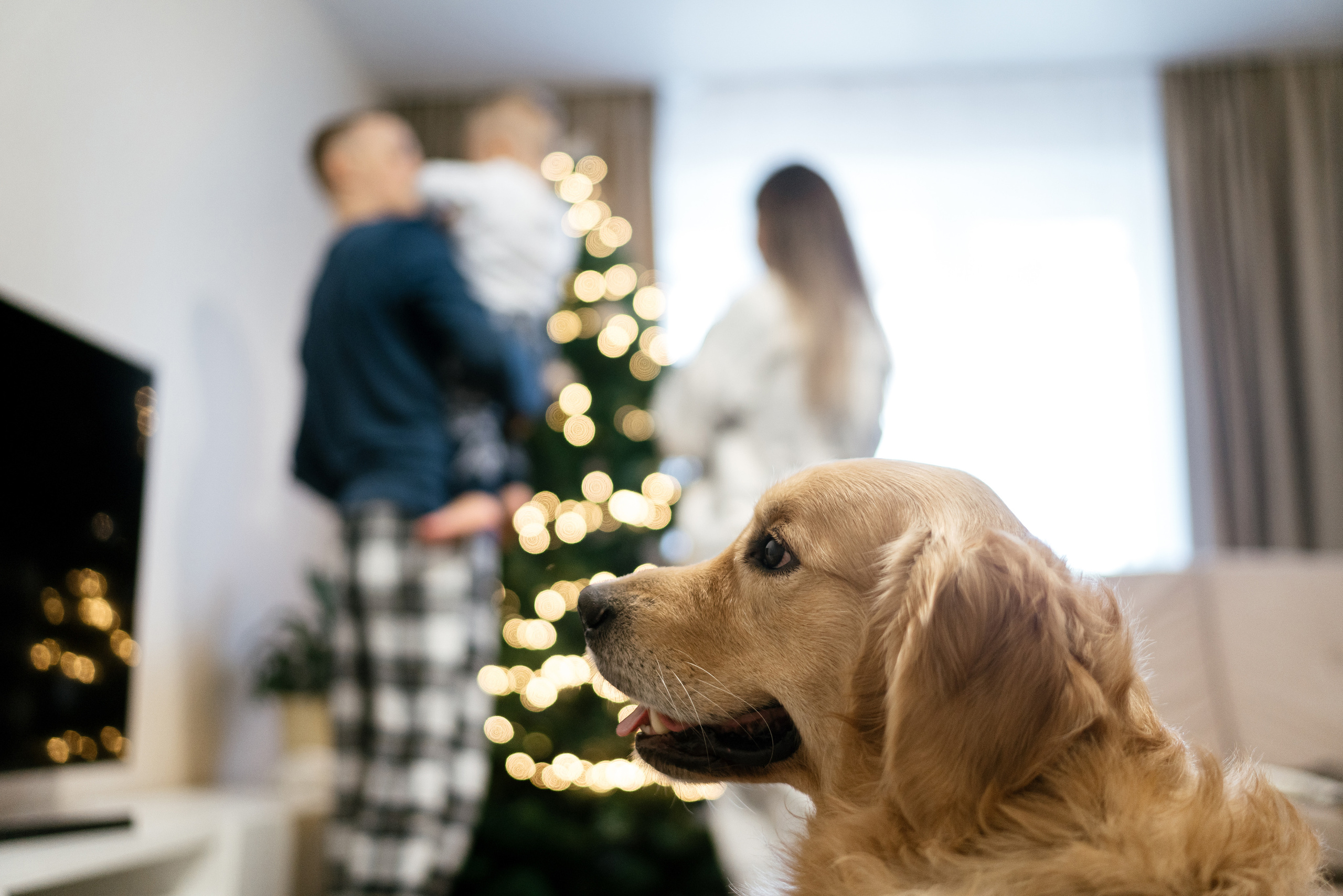 01.12.2021 Family. Фотограф Томск, Новосибирск Влад Свириденко