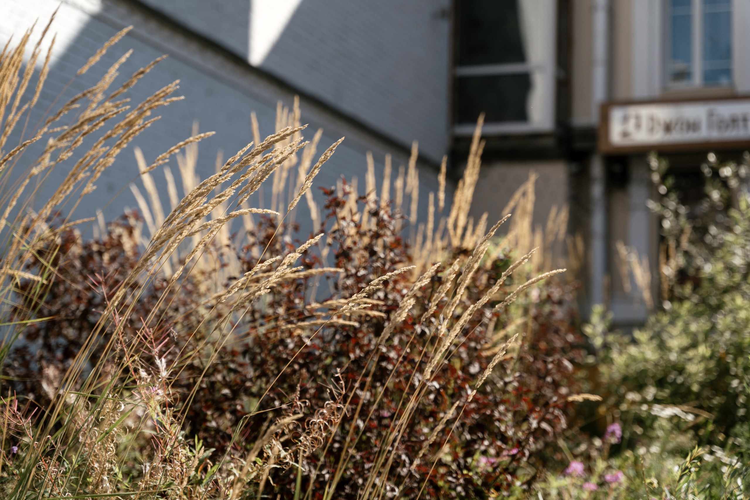 21.08.2021 Wedding day. Фотограф Томск, Новосибирск Влад Свириденко