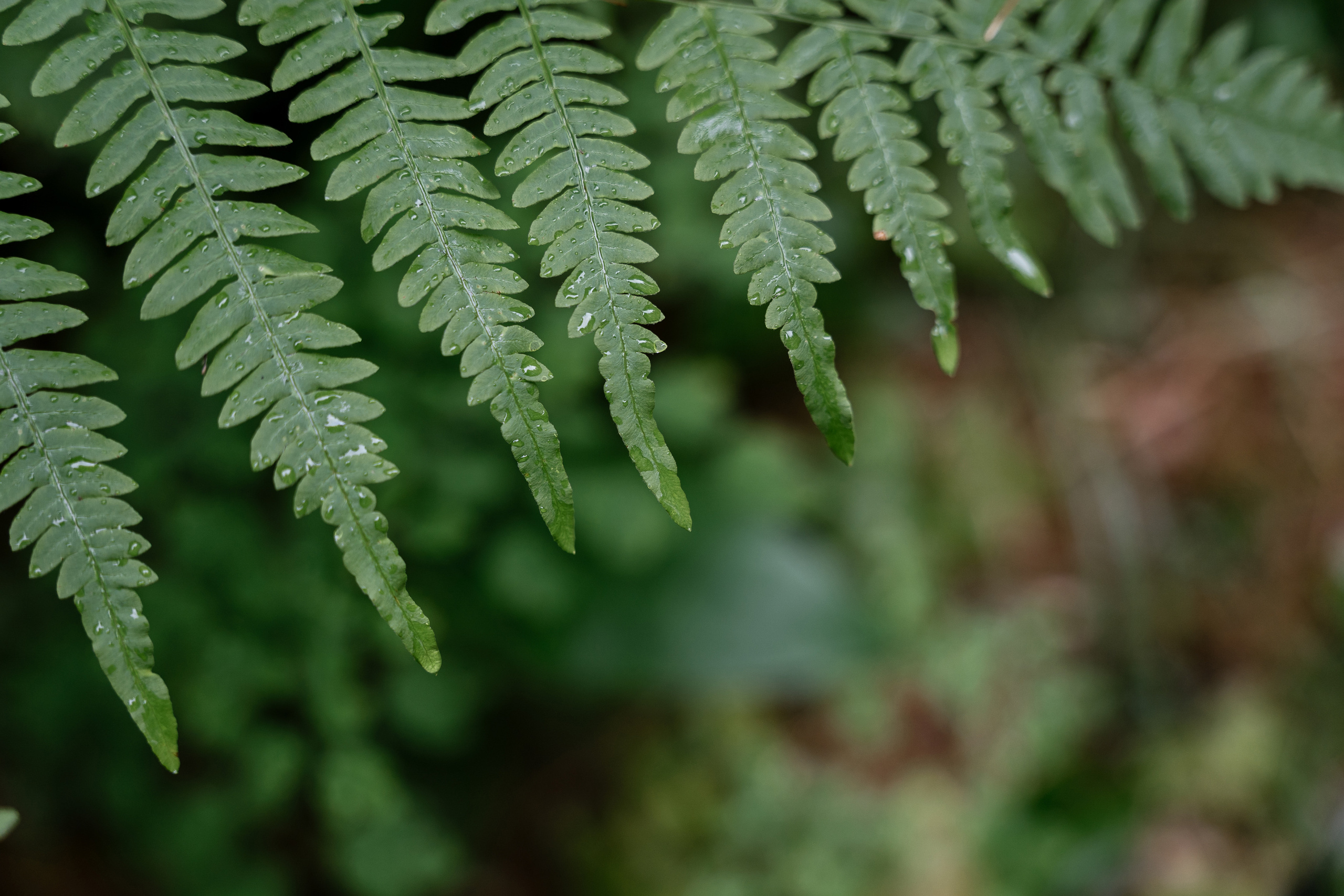 12.08.2021 Wedding day. Фотограф Томск, Новосибирск Влад Свириденко
