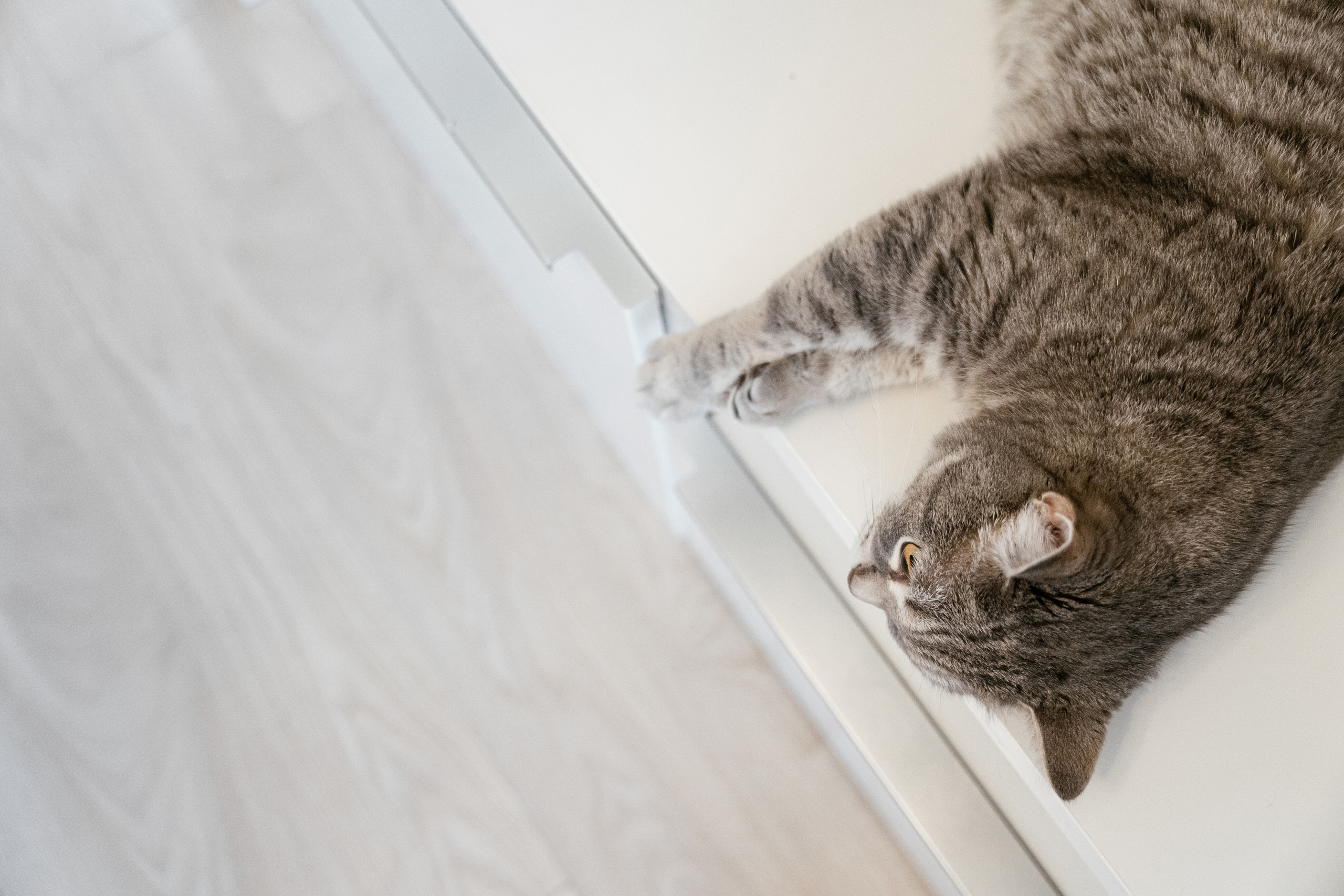 17.09.2021 Wedding day. Фотограф Томск, Новосибирск Влад Свириденко