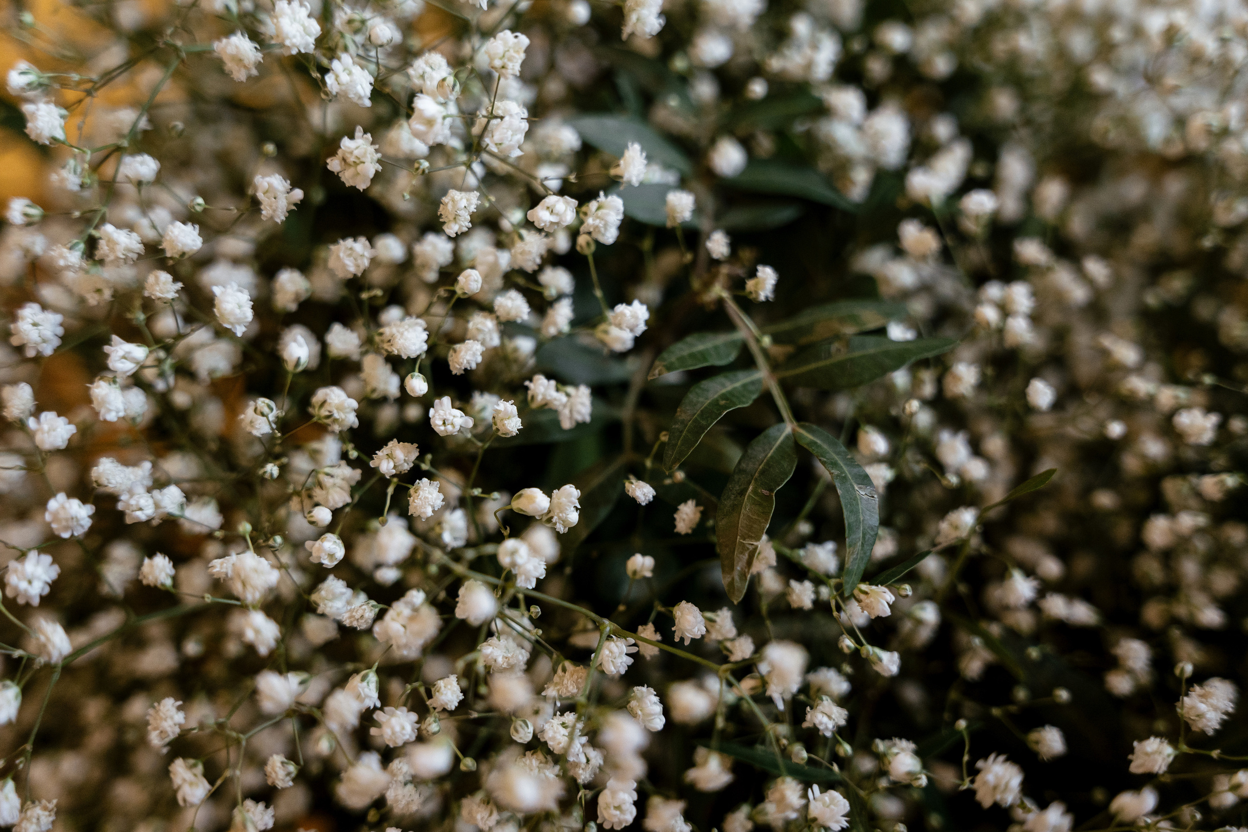 30.07.2021. Фотограф Томск, Новосибирск Влад Свириденко