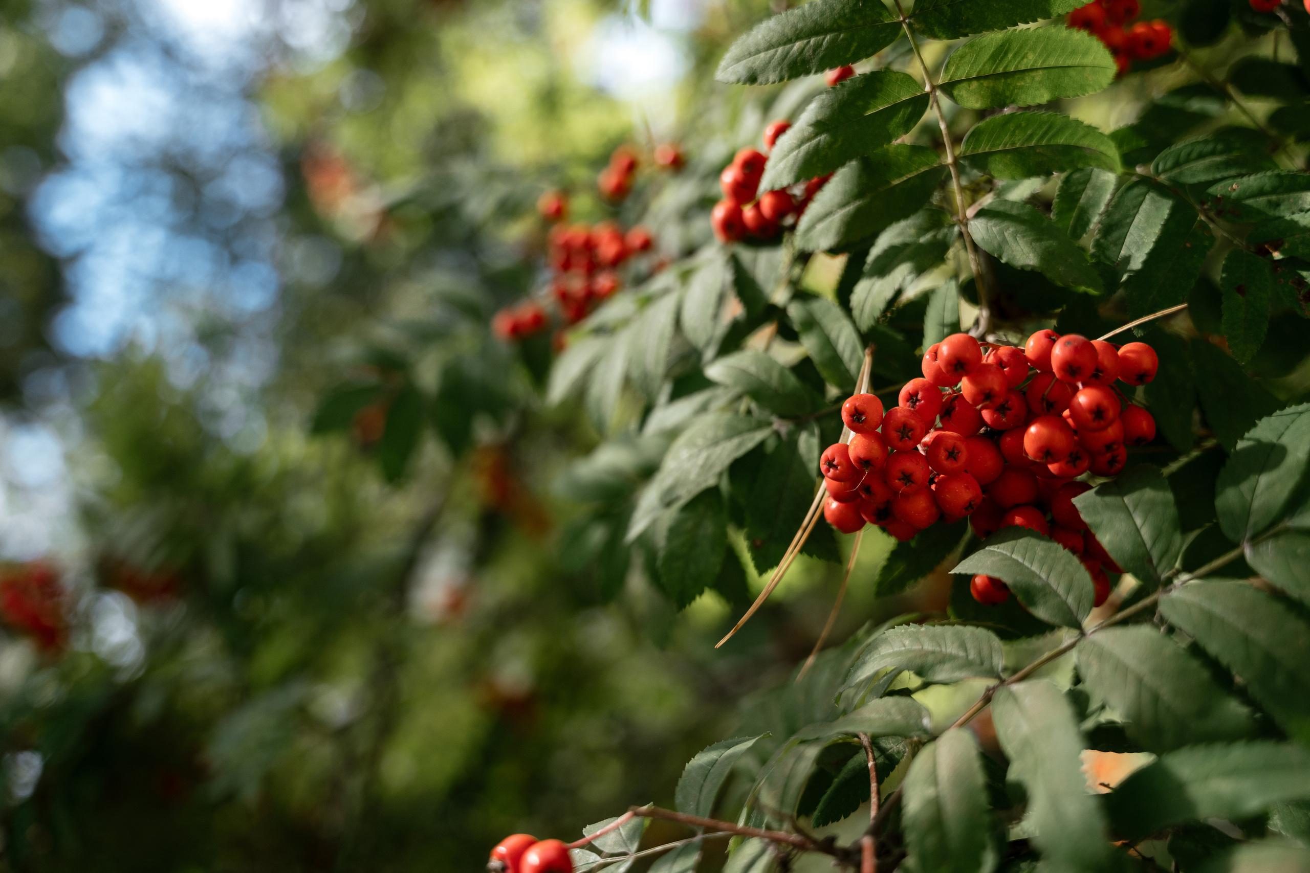 05.09.2021. Фотограф Томск, Новосибирск Влад Свириденко