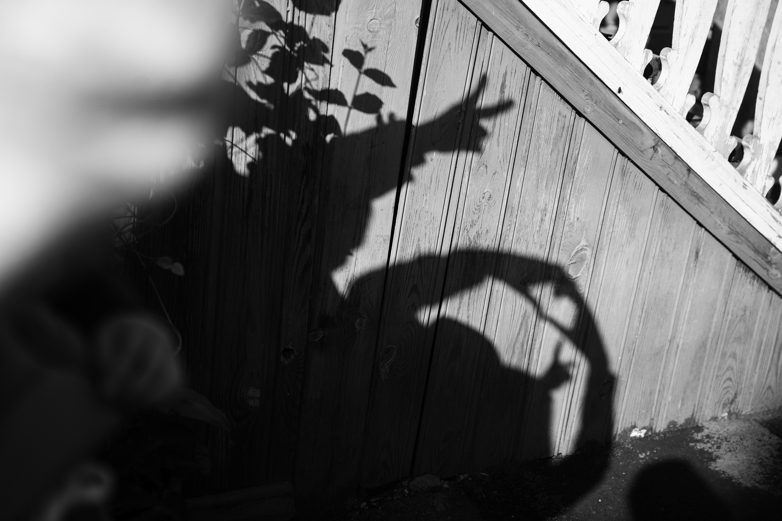 14.09.2021 Family. Фотограф Томск, Новосибирск Влад Свириденко