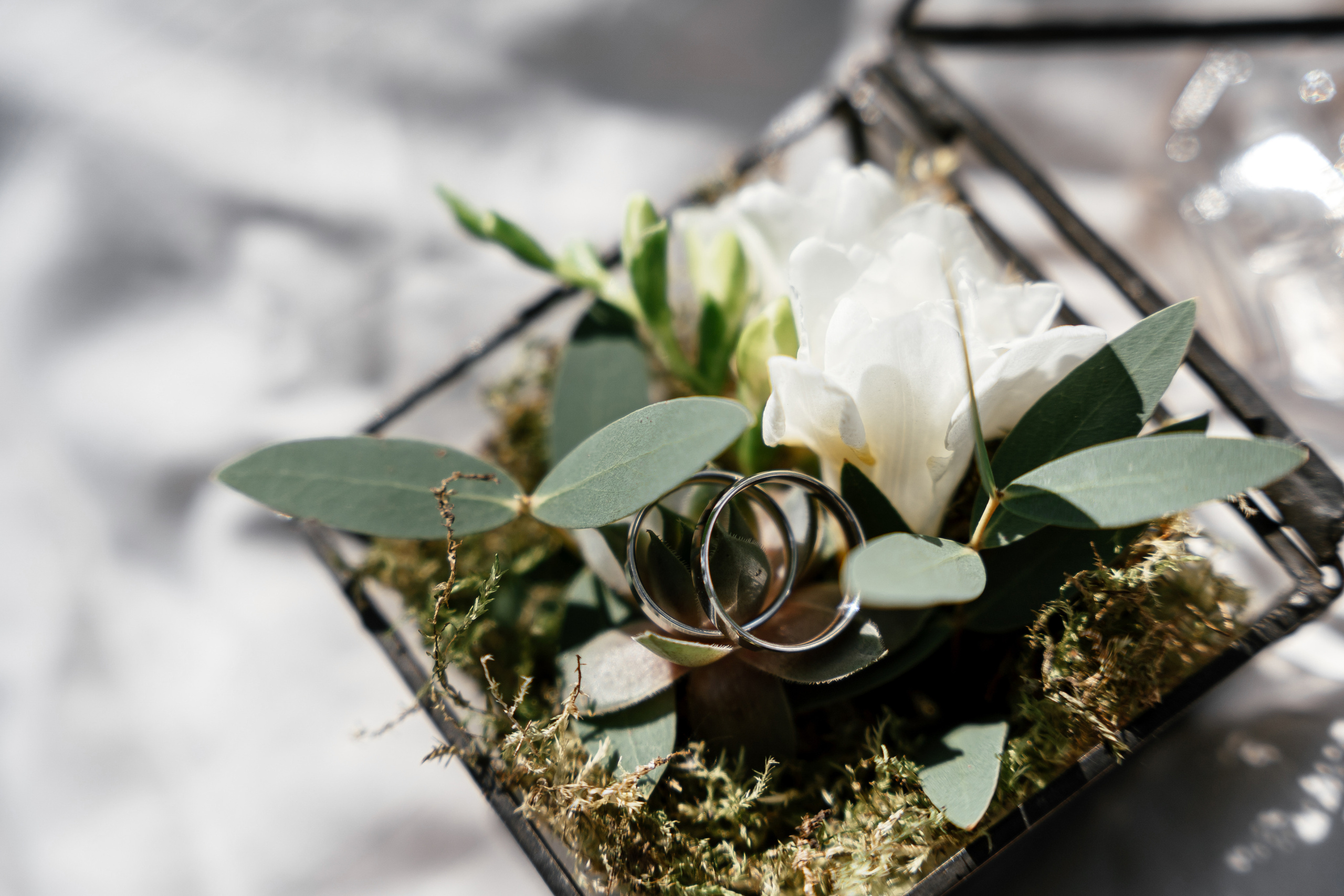 25.08.2021 Wedding day. Фотограф Томск, Новосибирск Влад Свириденко