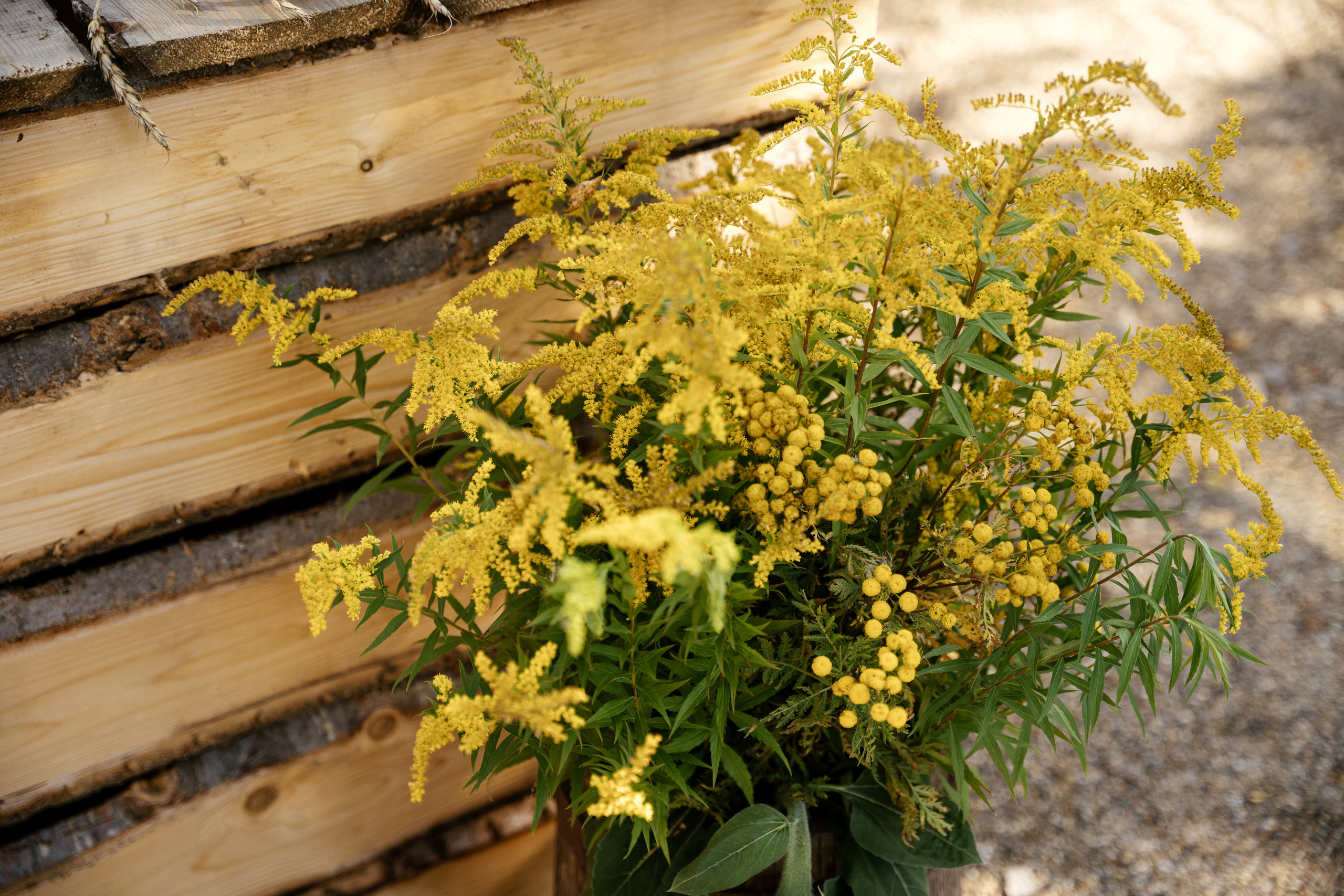 Дом. Фотограф Томск, Новосибирск Влад Свириденко