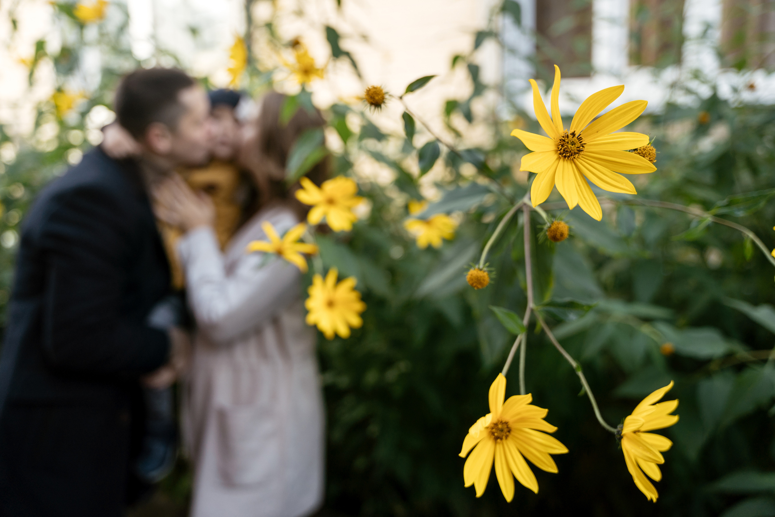 14.09.2021 Family. Фотограф Томск, Новосибирск Влад Свириденко
