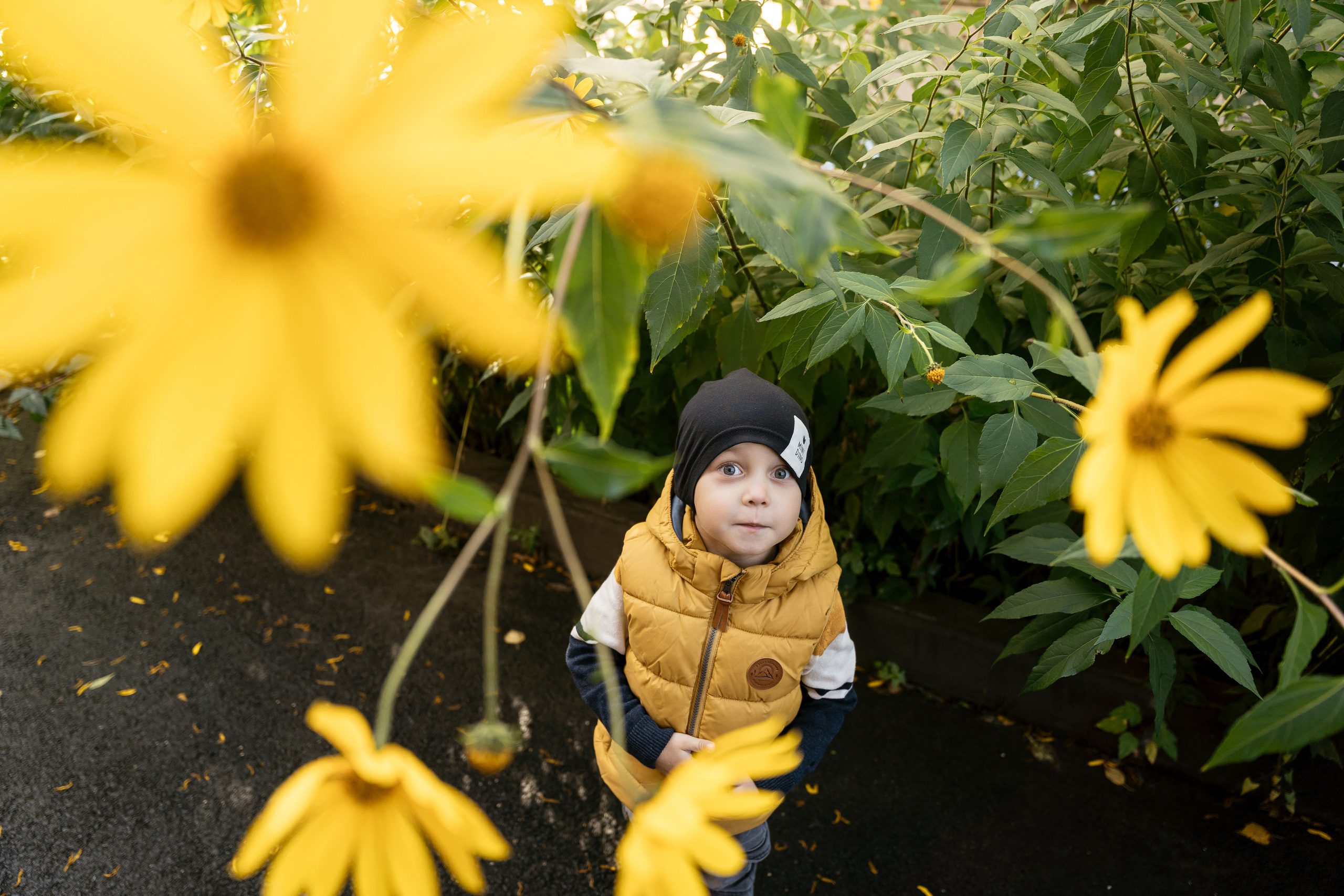 14.09.2021 Family. Фотограф Томск, Новосибирск Влад Свириденко