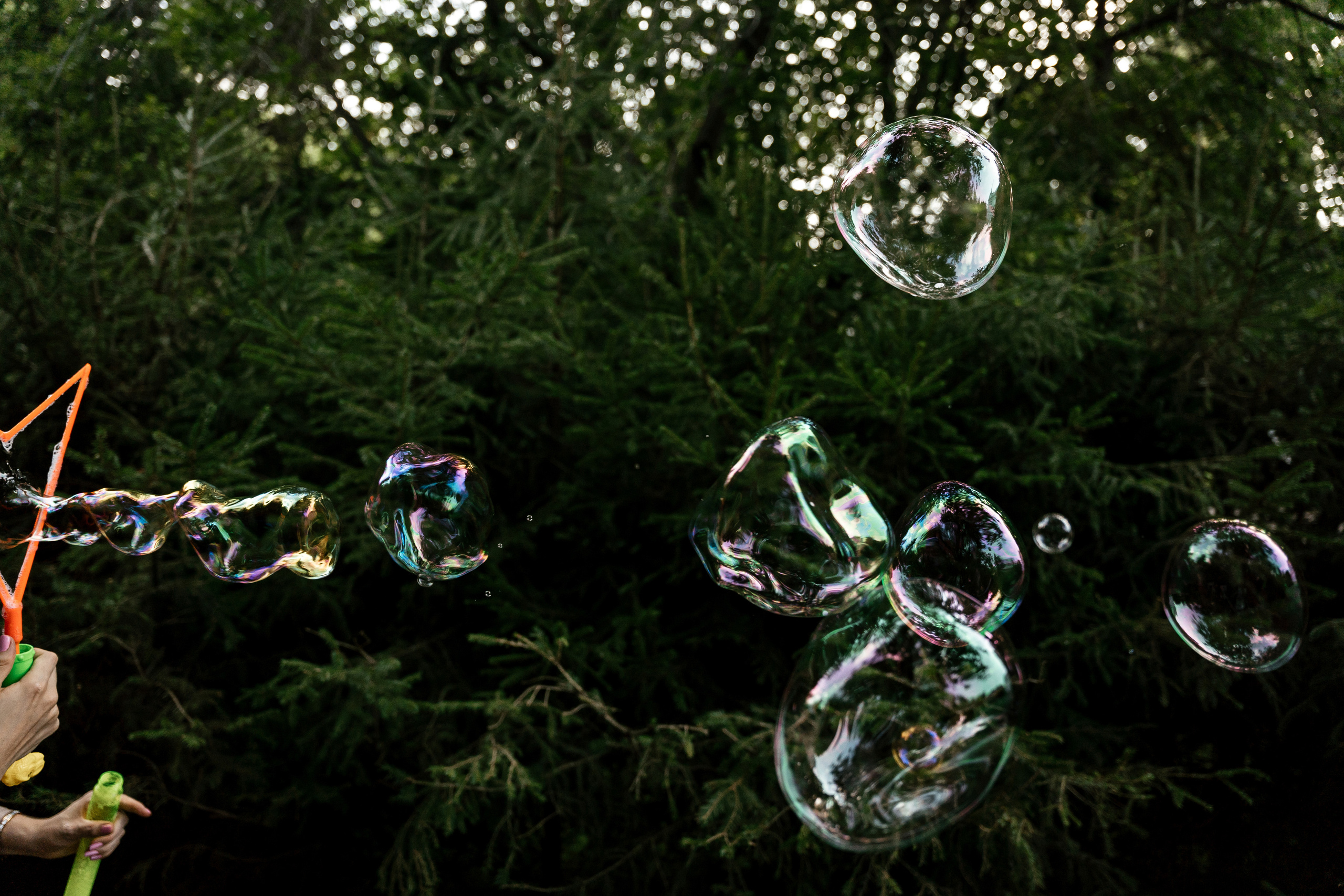 16.08.2021 Family. Фотограф Томск, Новосибирск Влад Свириденко