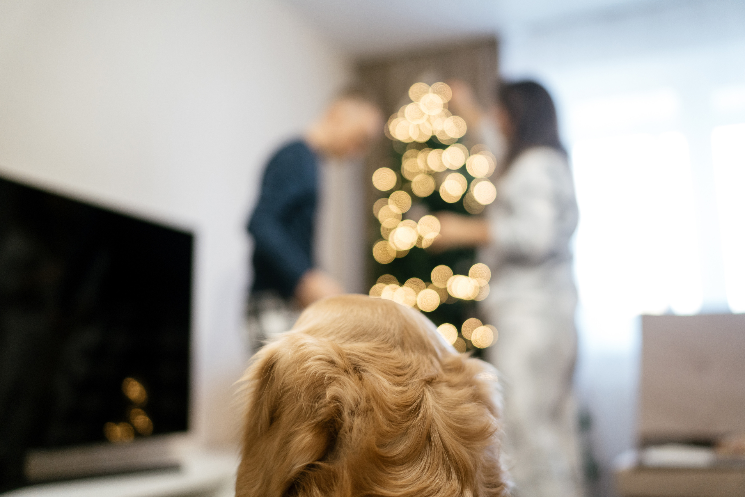 01.12.2021 Family. Фотограф Томск, Новосибирск Влад Свириденко