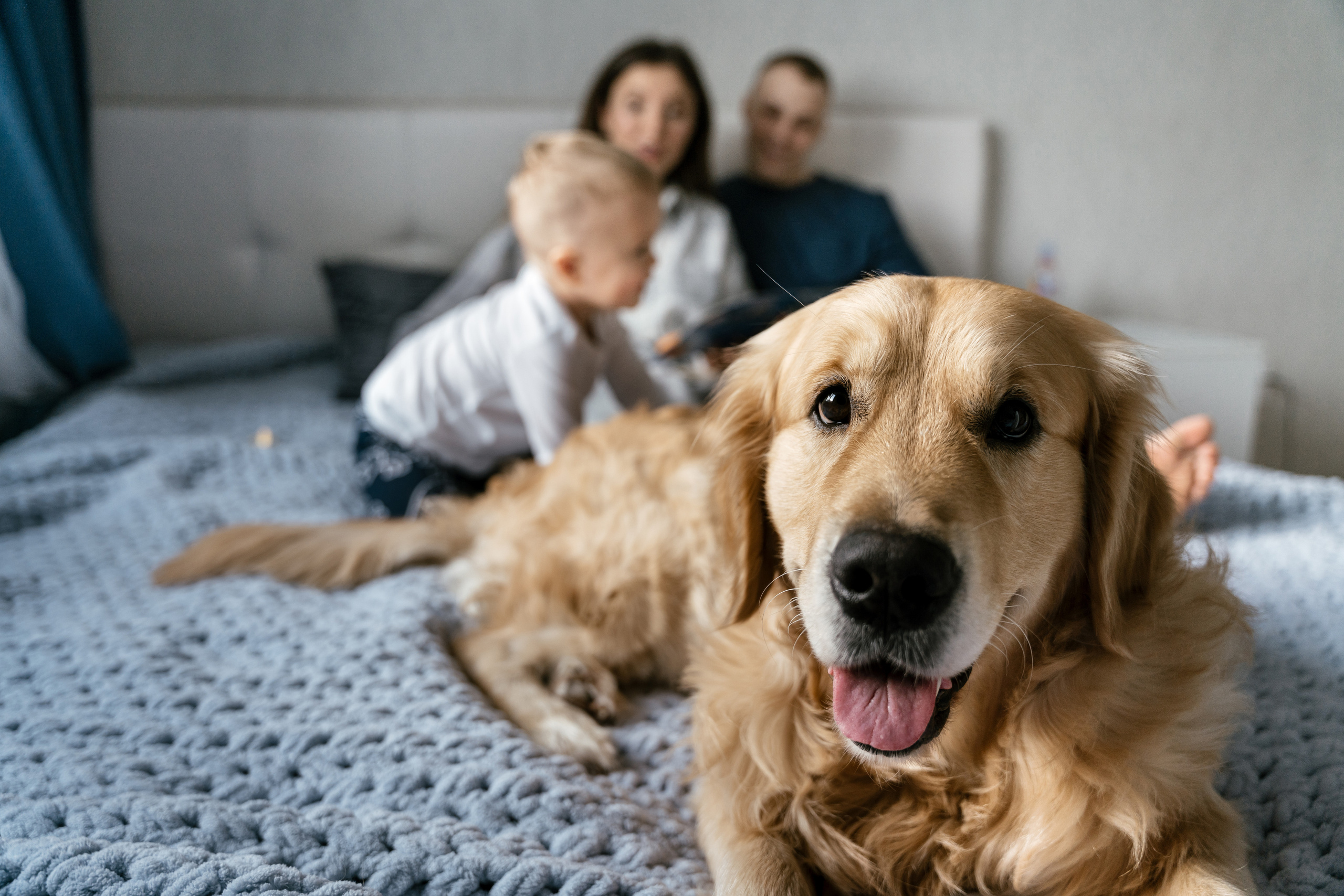 01.12.2021 Family. Фотограф Томск, Новосибирск Влад Свириденко