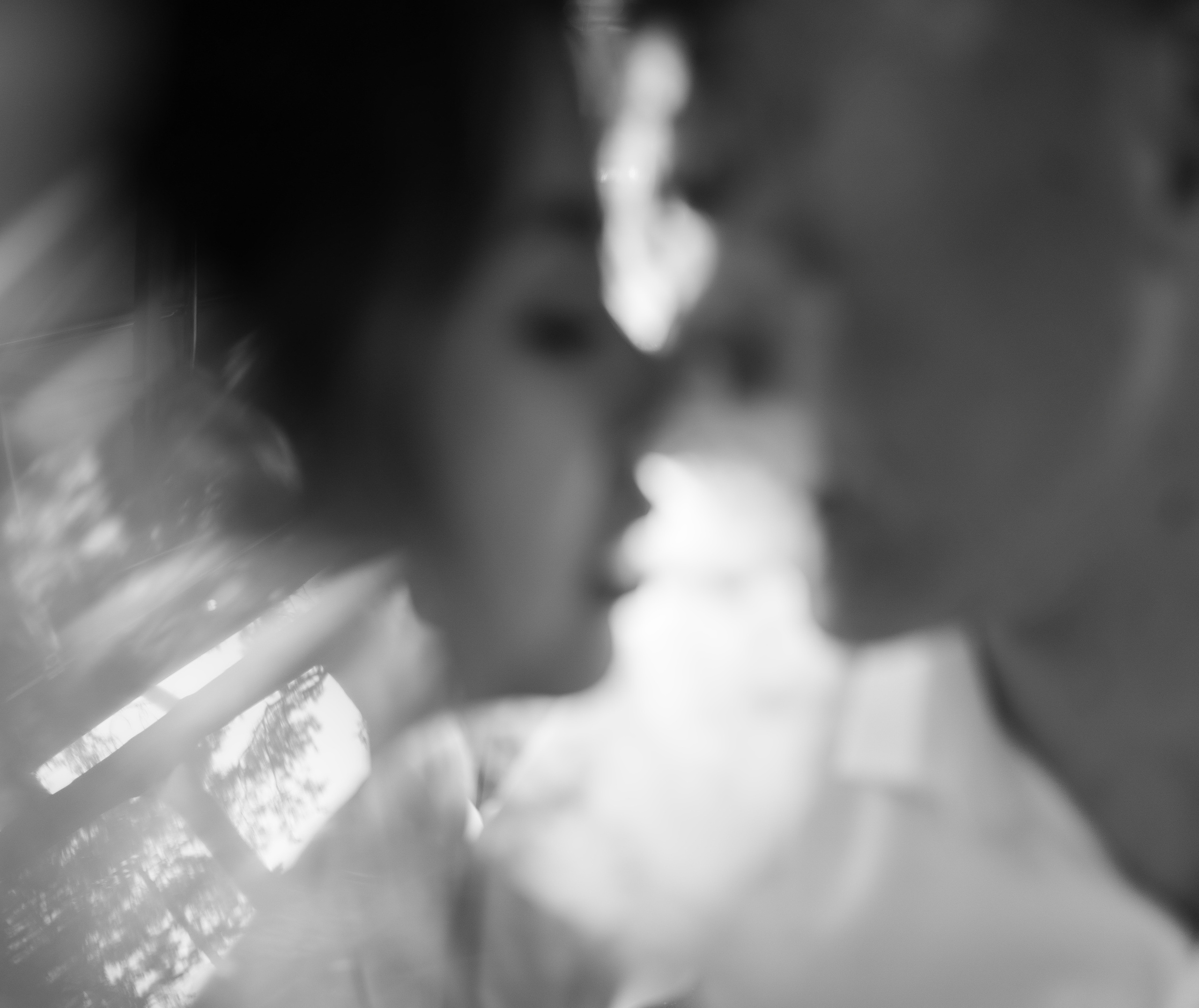 25.08.2021 Wedding day. Фотограф Томск, Новосибирск Влад Свириденко