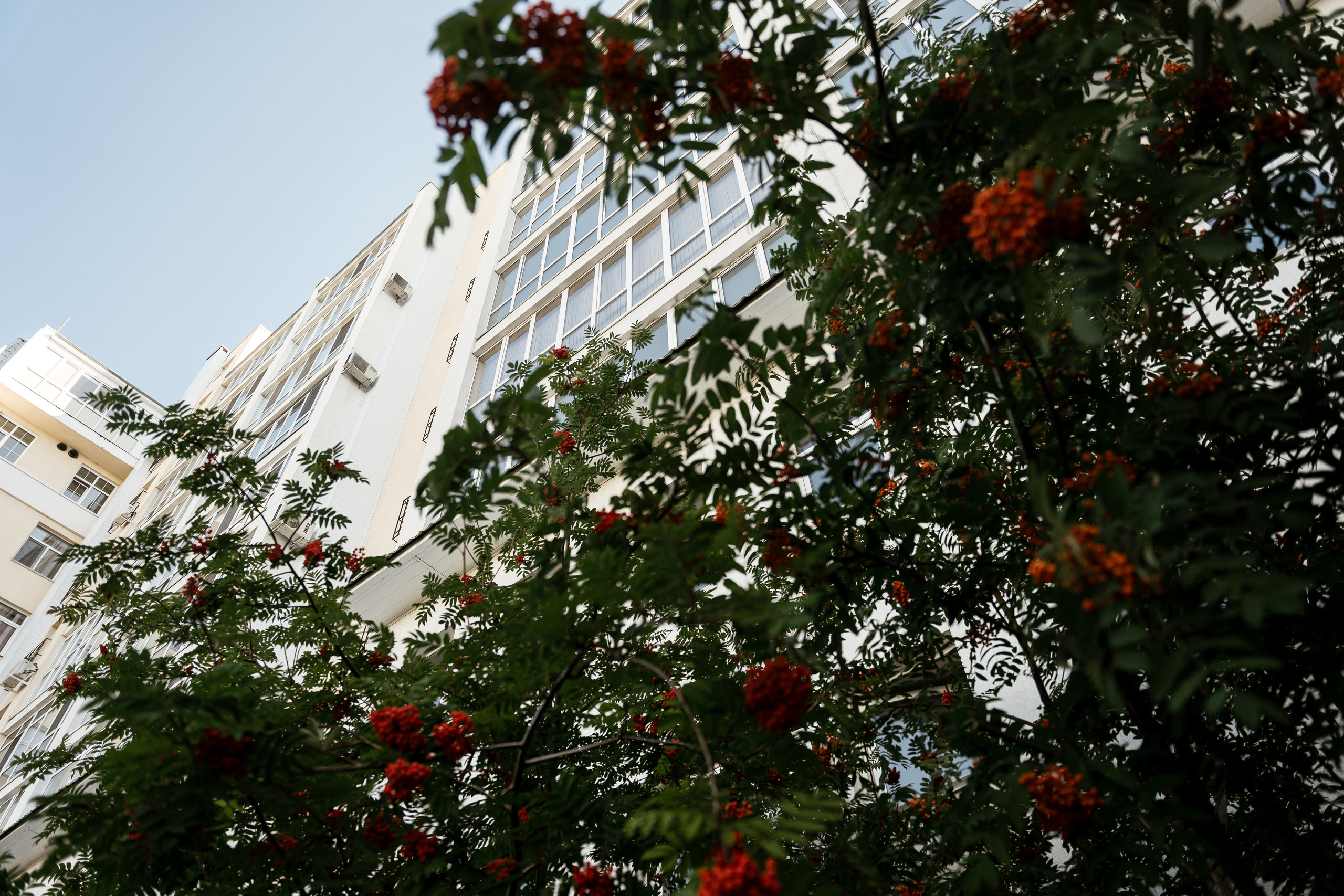 21.08.2021 Wedding day. Фотограф Томск, Новосибирск Влад Свириденко