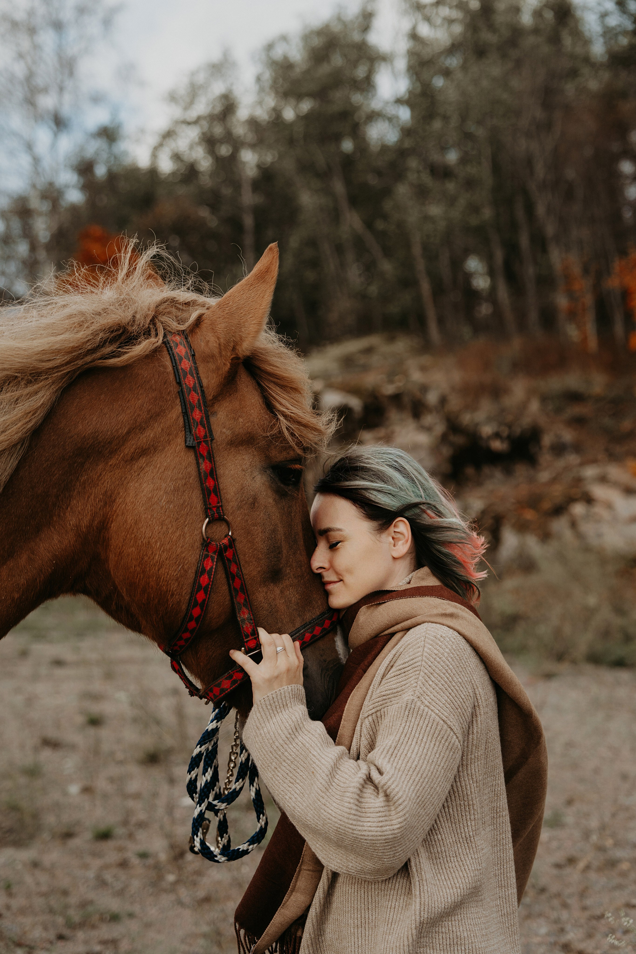 Конные. Главная