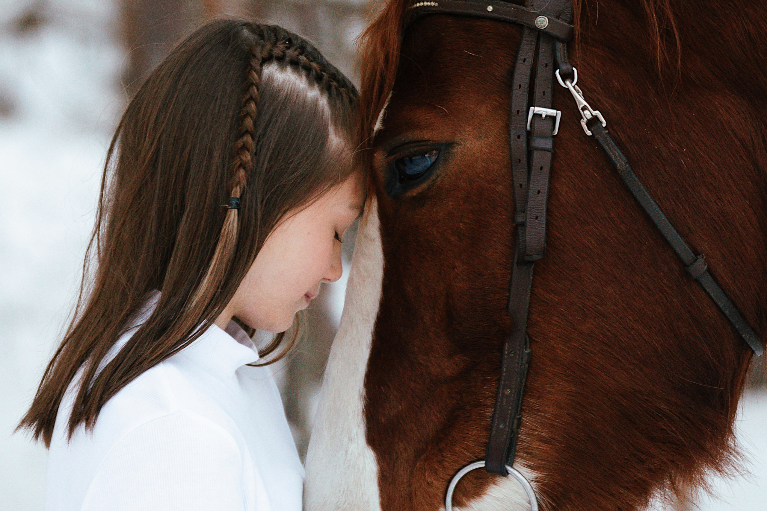 Конные. Фотограф Сибирика (Ирина Кузнецова), Санкт-Петербург и ЛО — портреты, свадьбы и семейные съемки. Творческий подход и качественные фото