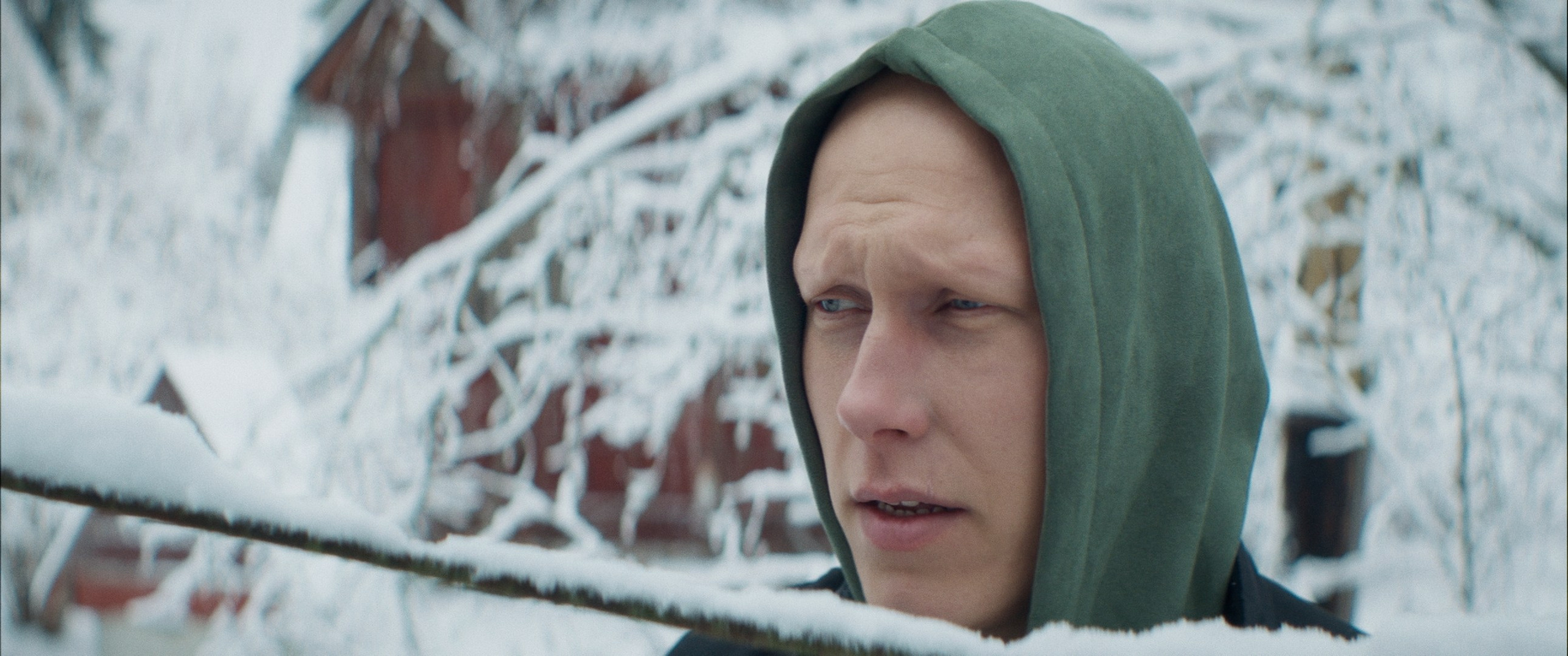 Мяу! (short film). Цветокоррекция видео онлайн Иван Сержанов