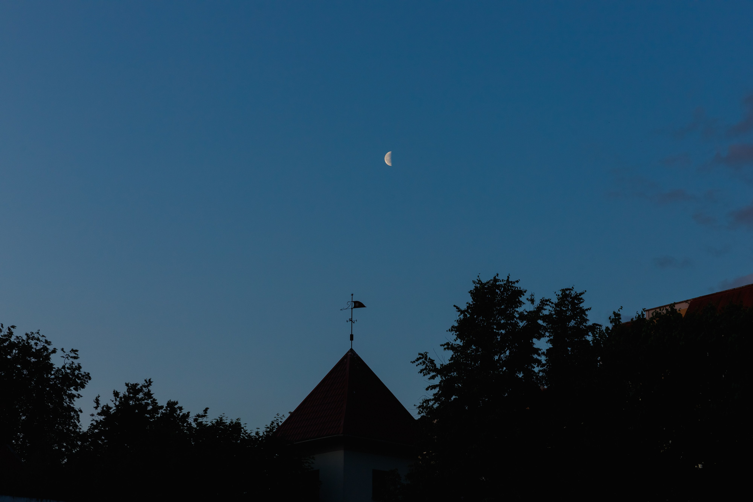 Школьный выпускной 2023 год в Минске. Свадебный фотограф в Минске/Беларуси Сергей Спиридонов