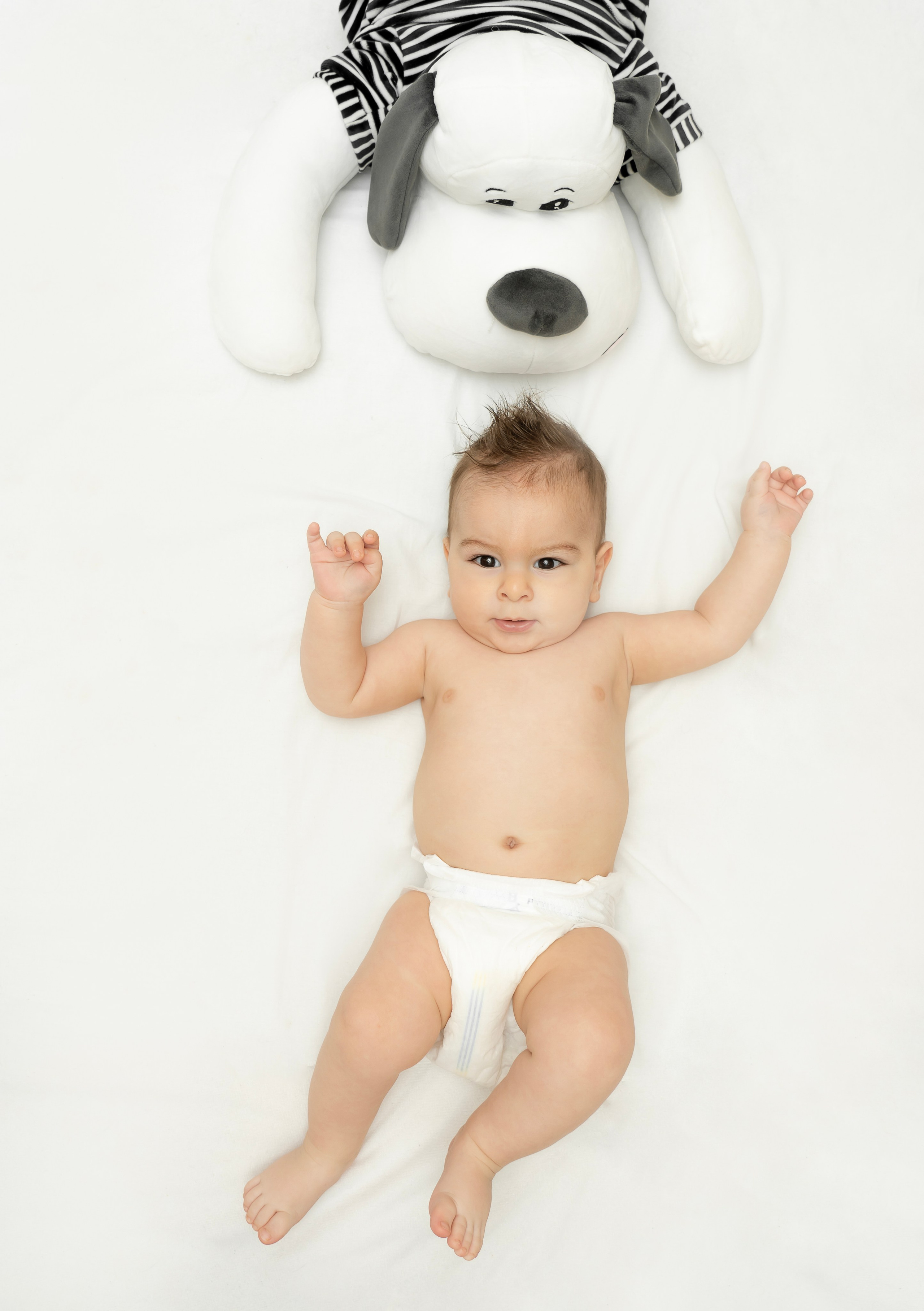 ЛЮБИМЧИК ГАСПАРЧИК. Фотограф Москва Екатерина Бондаренко