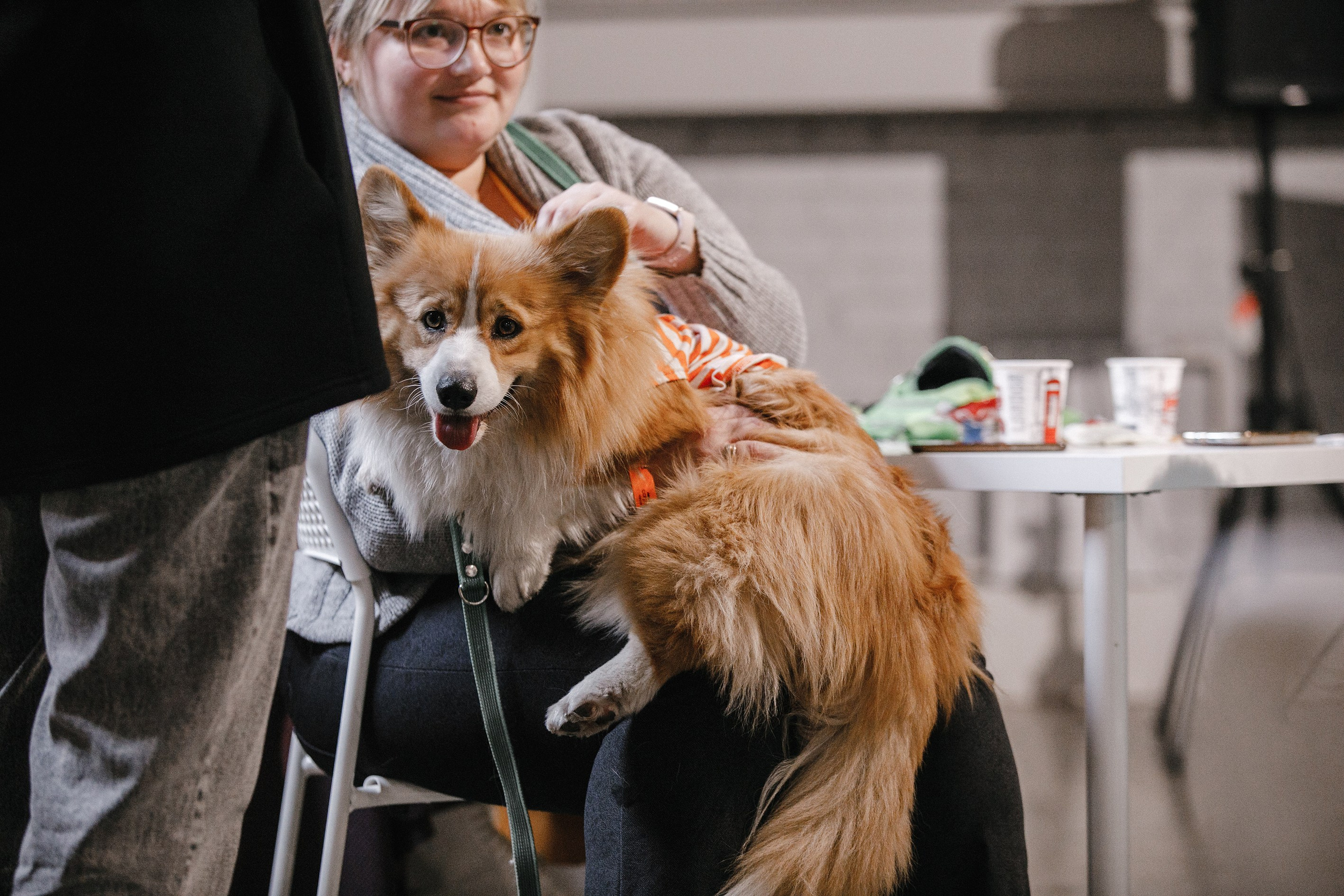 17.10.2021 // Дог-френдли день в Артплей. Фотовыставки serebro.gallery, в которых автором можешь стать ты! | Москва