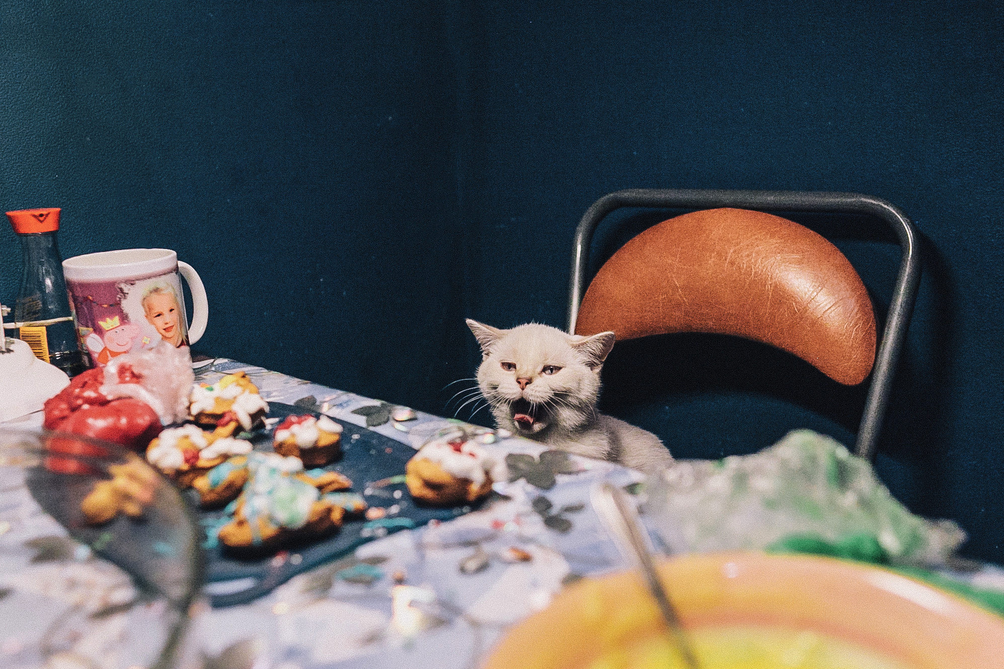Любовь и пряники, или когда ВСЕ дома). Семейный, Детский, Репортажный фотограф в Санкт-Петербурге Погодина Лю