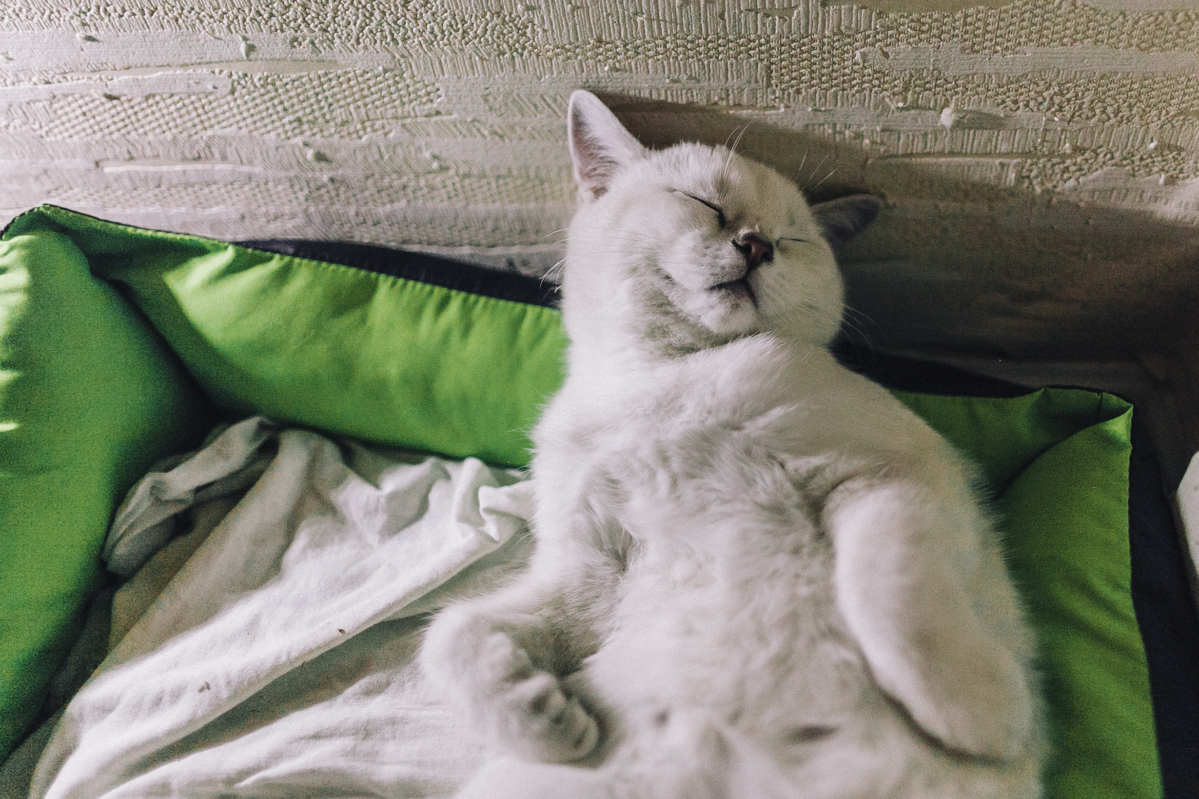 Любовь и пряники, или когда ВСЕ дома). Семейный, Детский, Репортажный фотограф в Санкт-Петербурге Погодина Лю