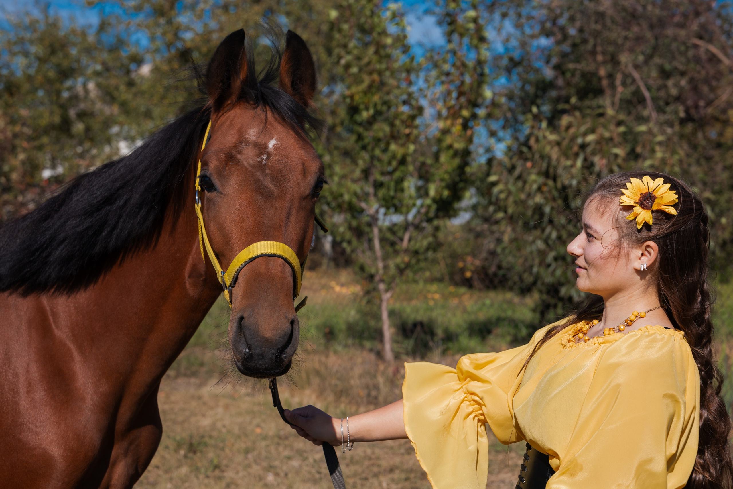 Фотосессия с лошадьми