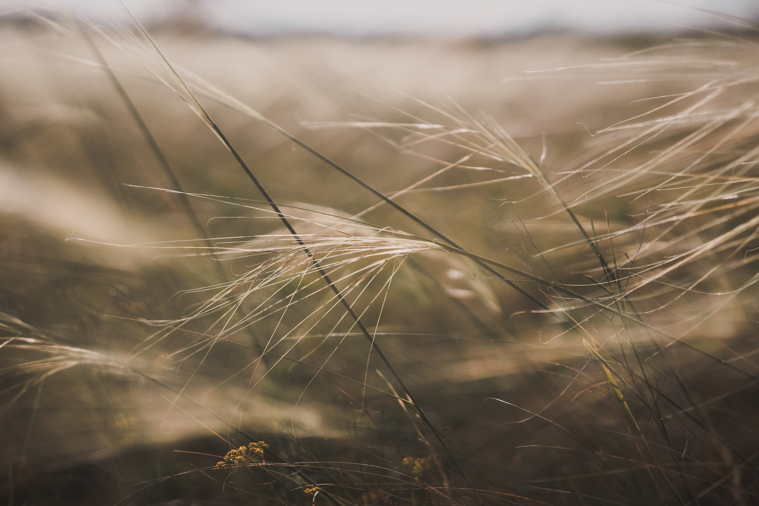 Итоги 2024. Саватейкин Ярослав | Портретный фотограф в Москве